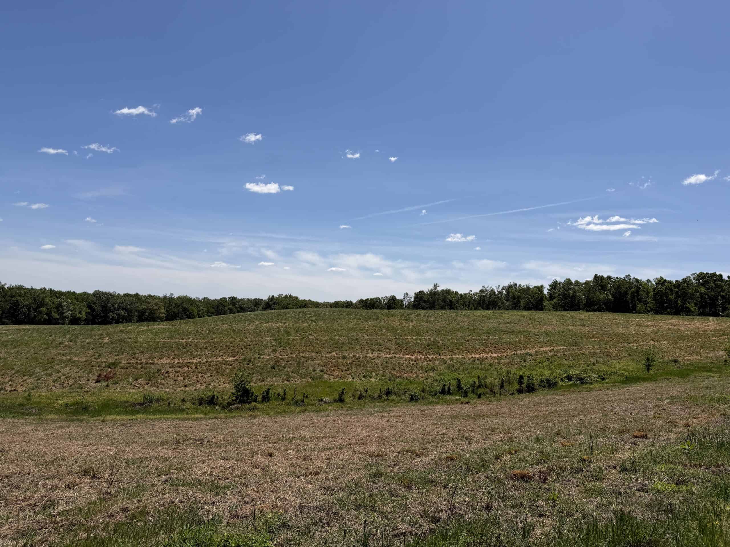 HOBBY FARM FOR SALE IN TN. AMAZING BUILDING SITES WITH VIEWS AND DEER HUNTING LAND FOR SALE IN TENNESSEE.