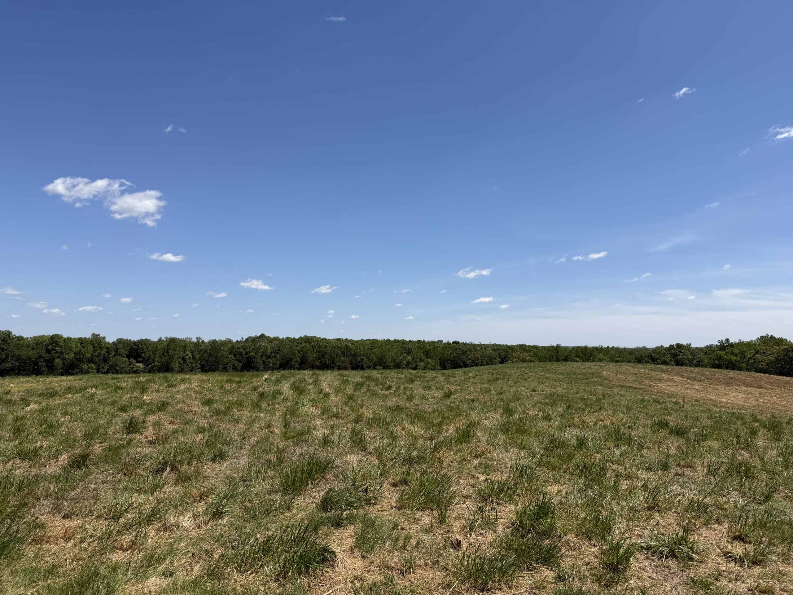 HOBBY FARM FOR SALE IN TN. AMAZING BUILDING SITES WITH VIEWS AND DEER HUNTING LAND FOR SALE IN TENNESSEE.