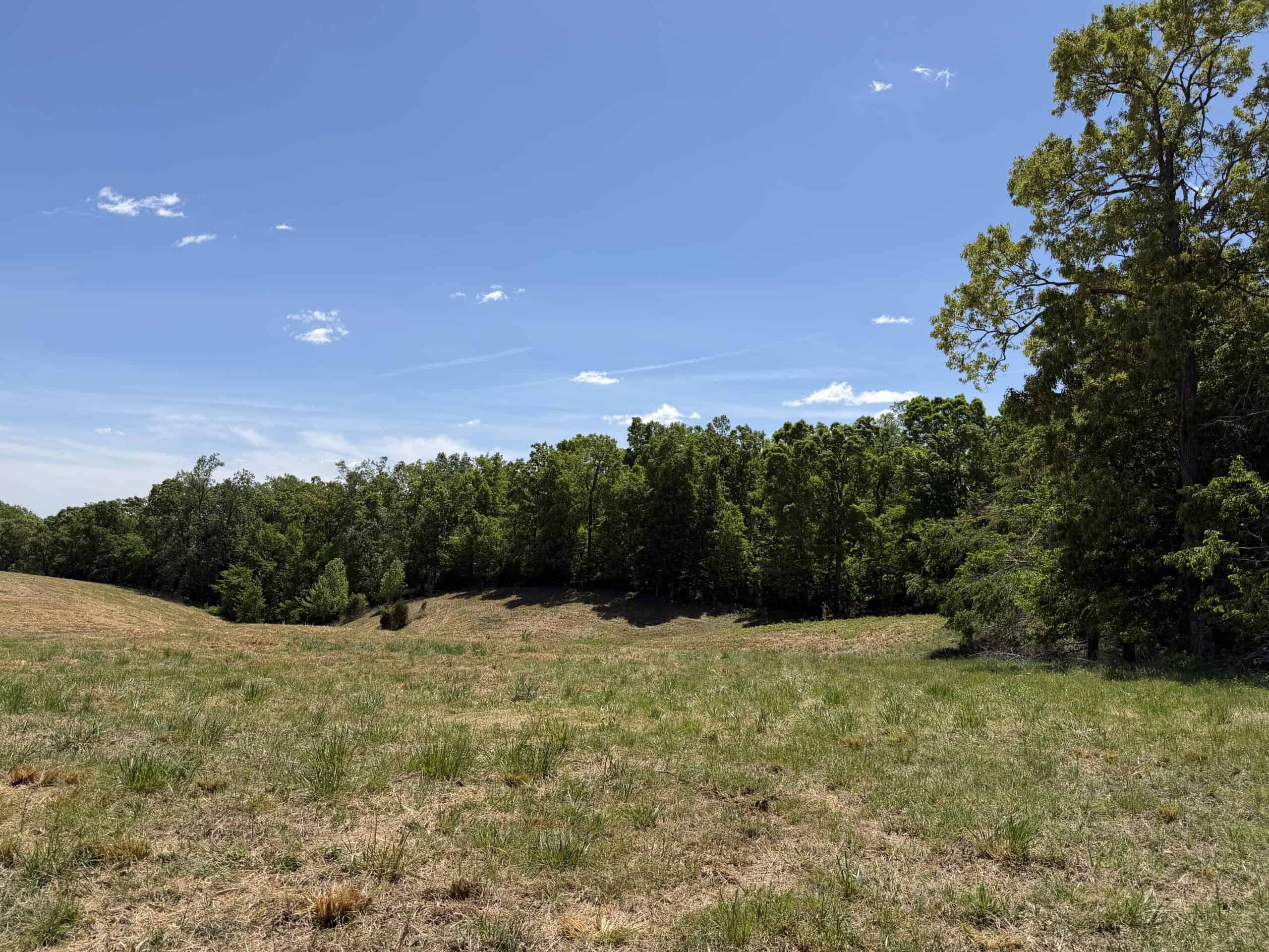 HOBBY FARM FOR SALE IN TN. AMAZING BUILDING SITES WITH VIEWS AND DEER HUNTING LAND FOR SALE IN TENNESSEE.