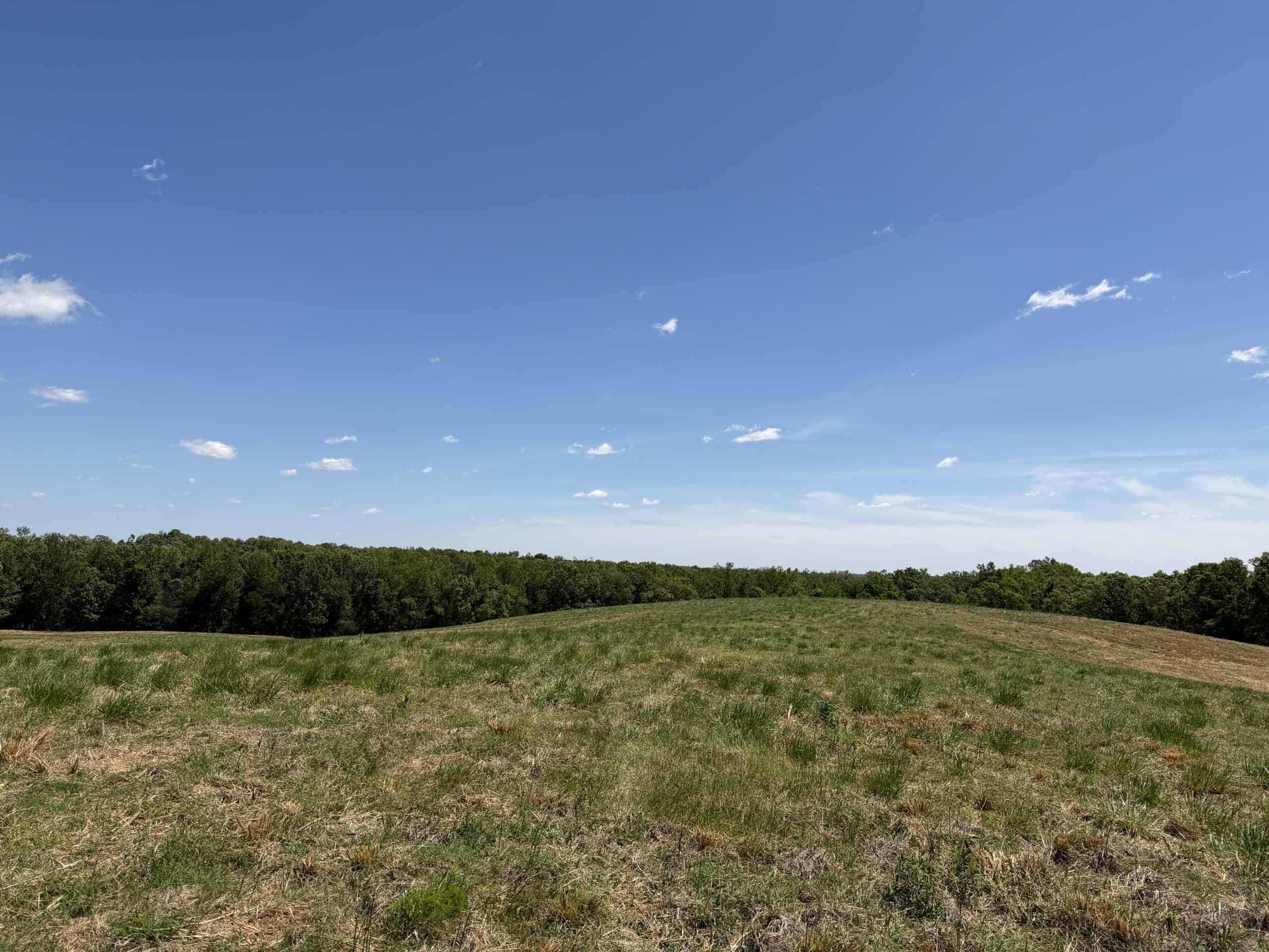 HOBBY FARM FOR SALE IN TN. AMAZING BUILDING SITES WITH VIEWS AND DEER HUNTING LAND FOR SALE IN TENNESSEE.