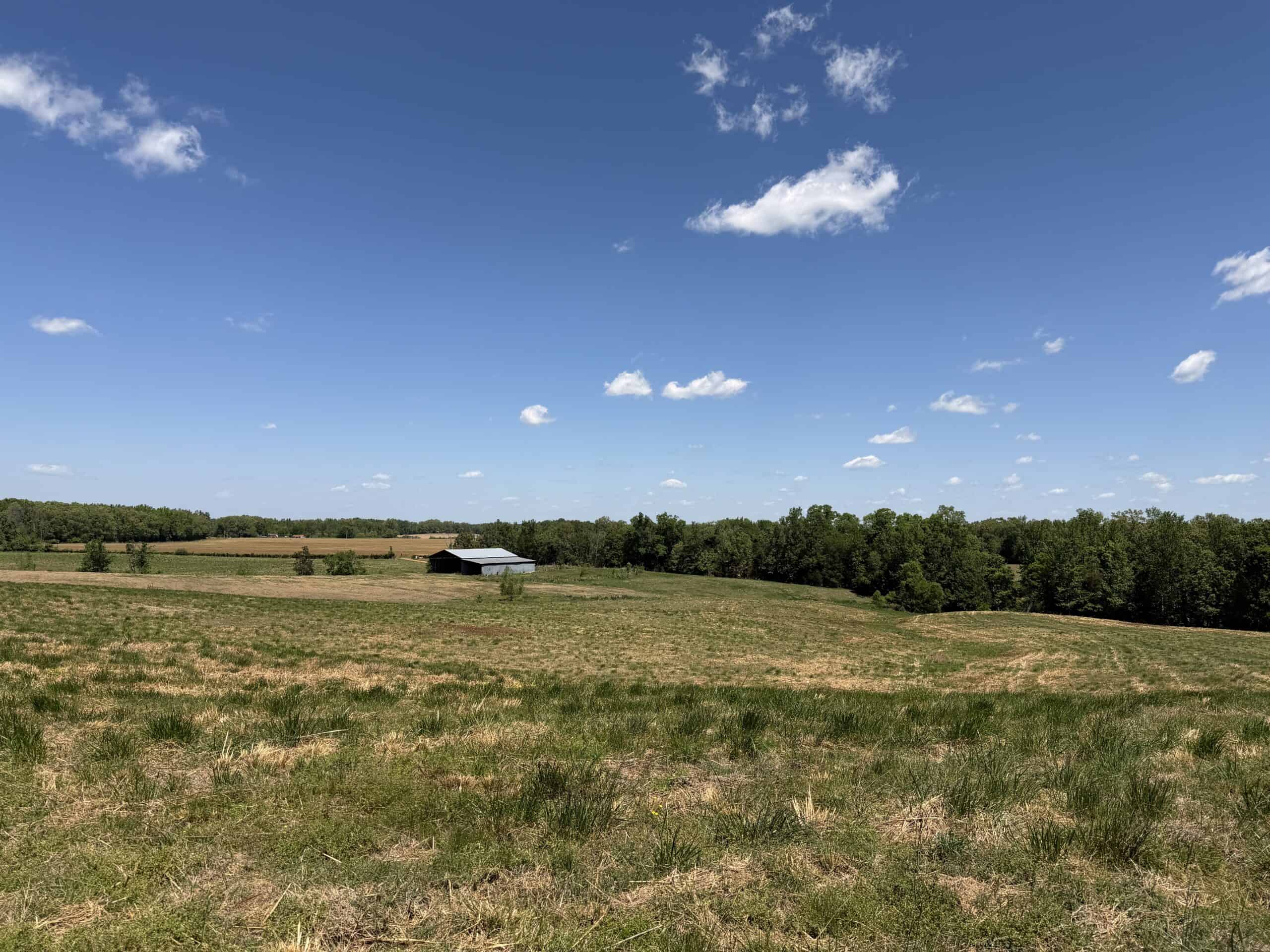 HOBBY FARM FOR SALE IN TN. AMAZING BUILDING SITES WITH VIEWS AND DEER HUNTING LAND FOR SALE IN TENNESSEE.