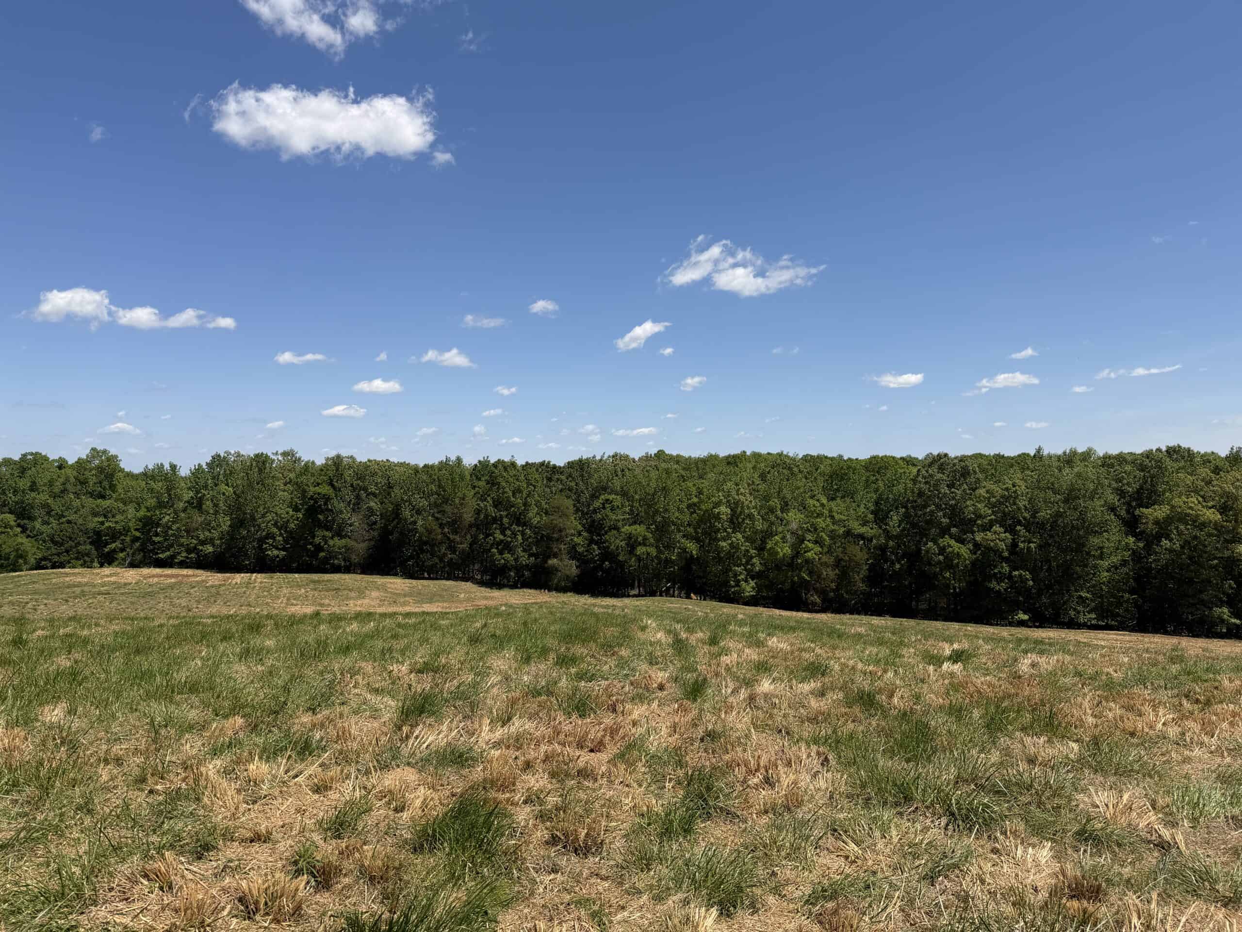 HOBBY FARM FOR SALE IN TN. AMAZING BUILDING SITES WITH VIEWS AND DEER HUNTING LAND FOR SALE IN TENNESSEE.