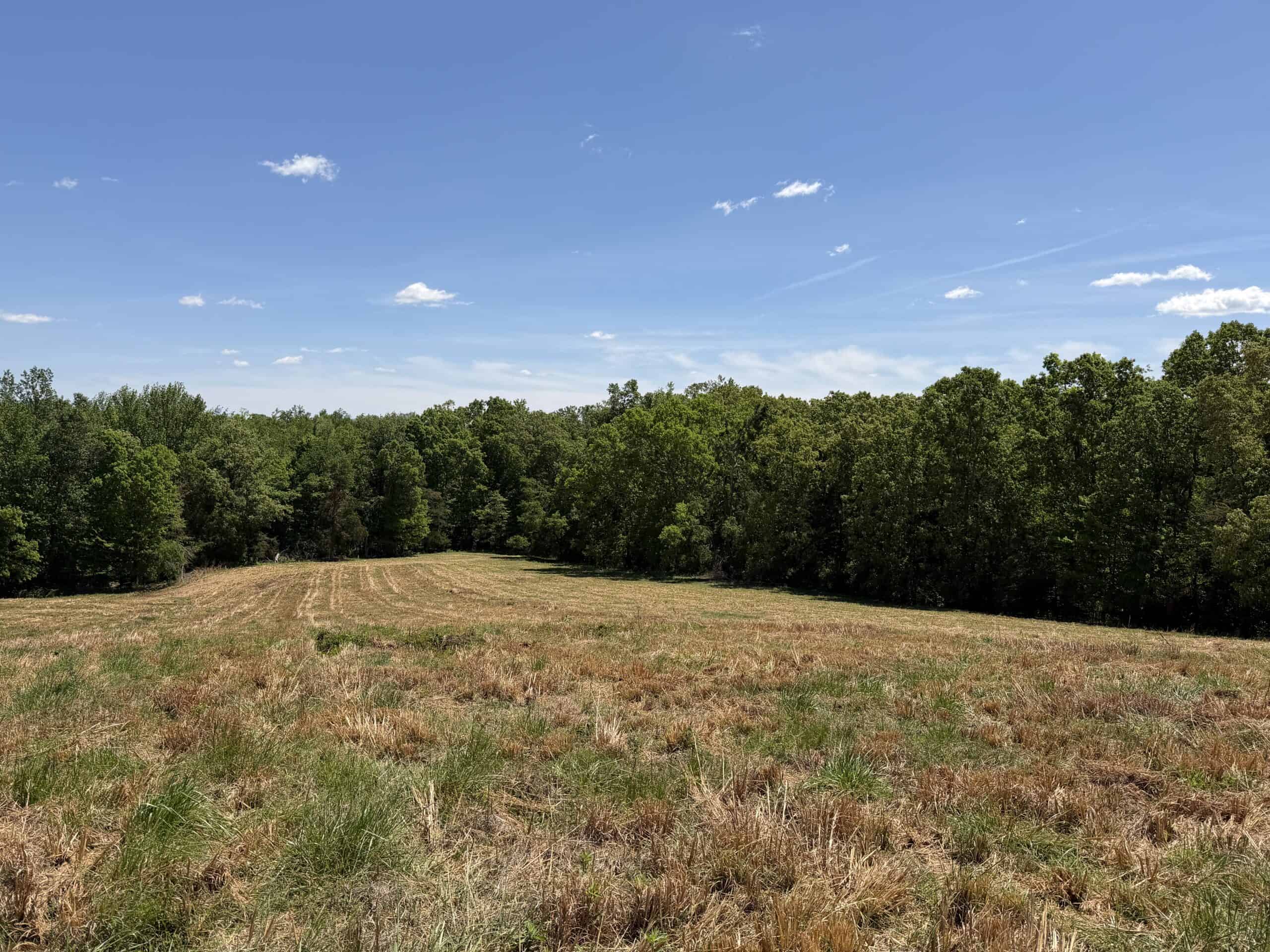 PASTURELAND FOR SALE IN TN, BIG HAY BARN, BRANCH, FENCING