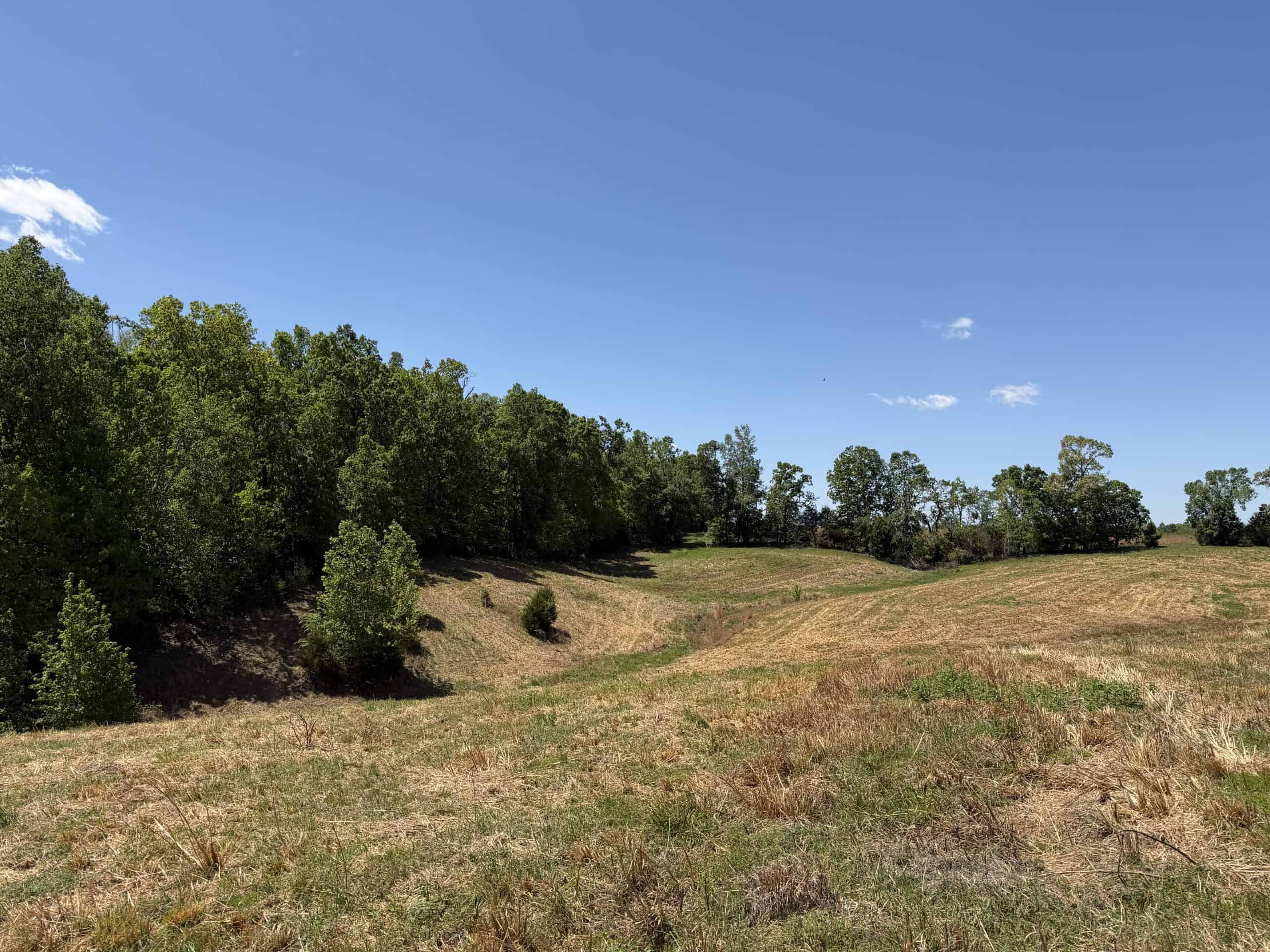 HOBBY FARM FOR SALE IN TN. AMAZING BUILDING SITES WITH VIEWS AND DEER HUNTING LAND FOR SALE IN TENNESSEE.