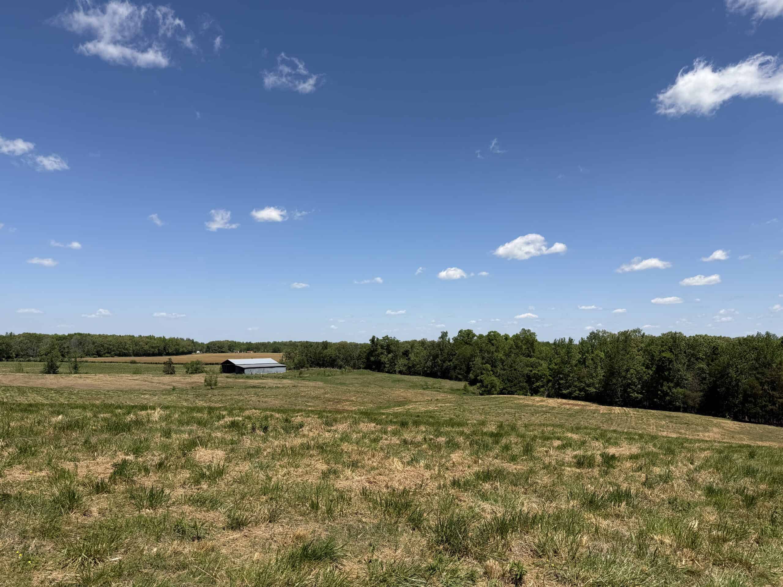 PASTURELAND FOR SALE IN TN, BIG HAY BARN, BRANCH, FENCING