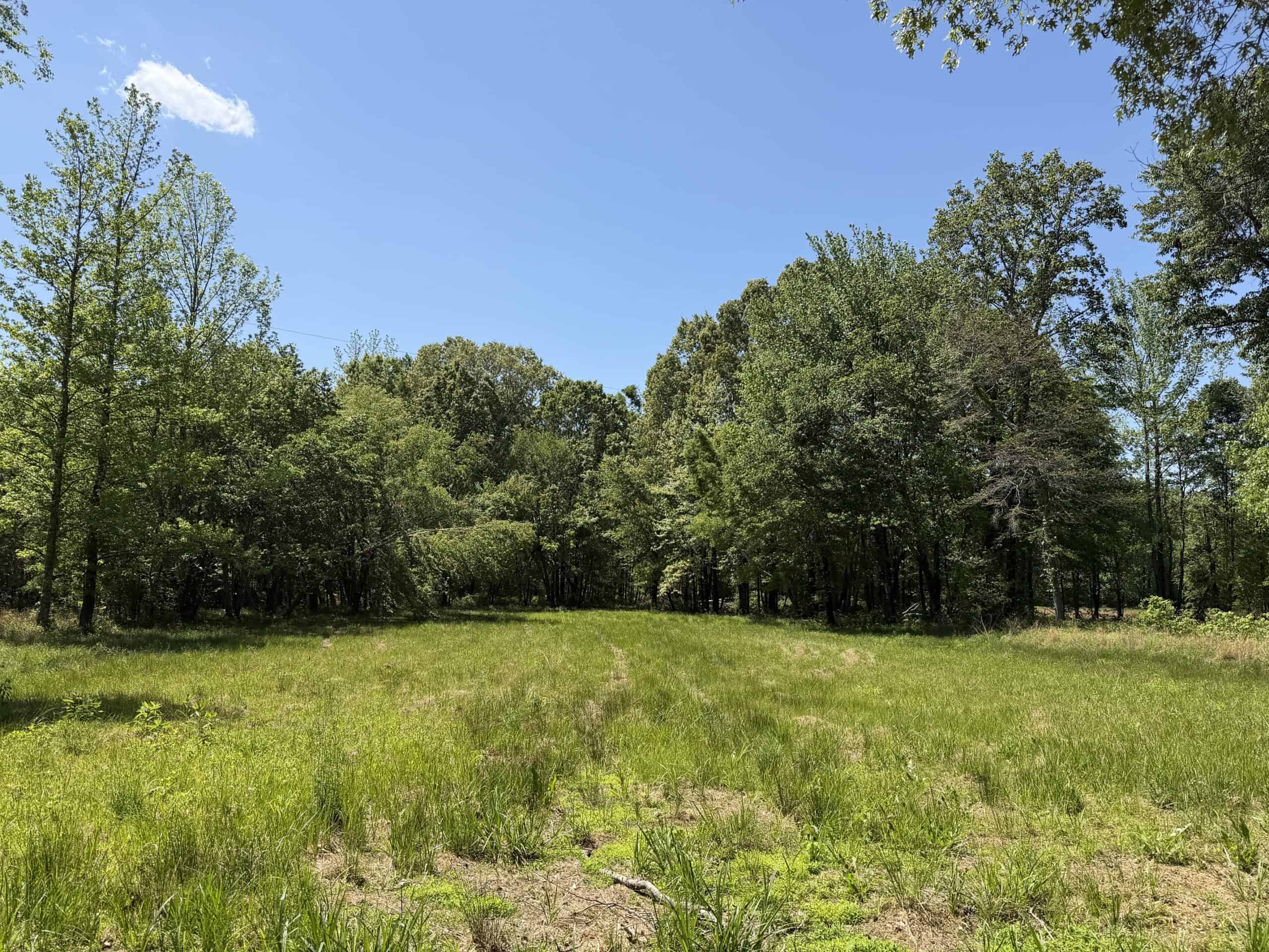 PRIVATE COUNTRY HOME FOR SALE IN TN 35 AC SHOP CREEK FIELDS
