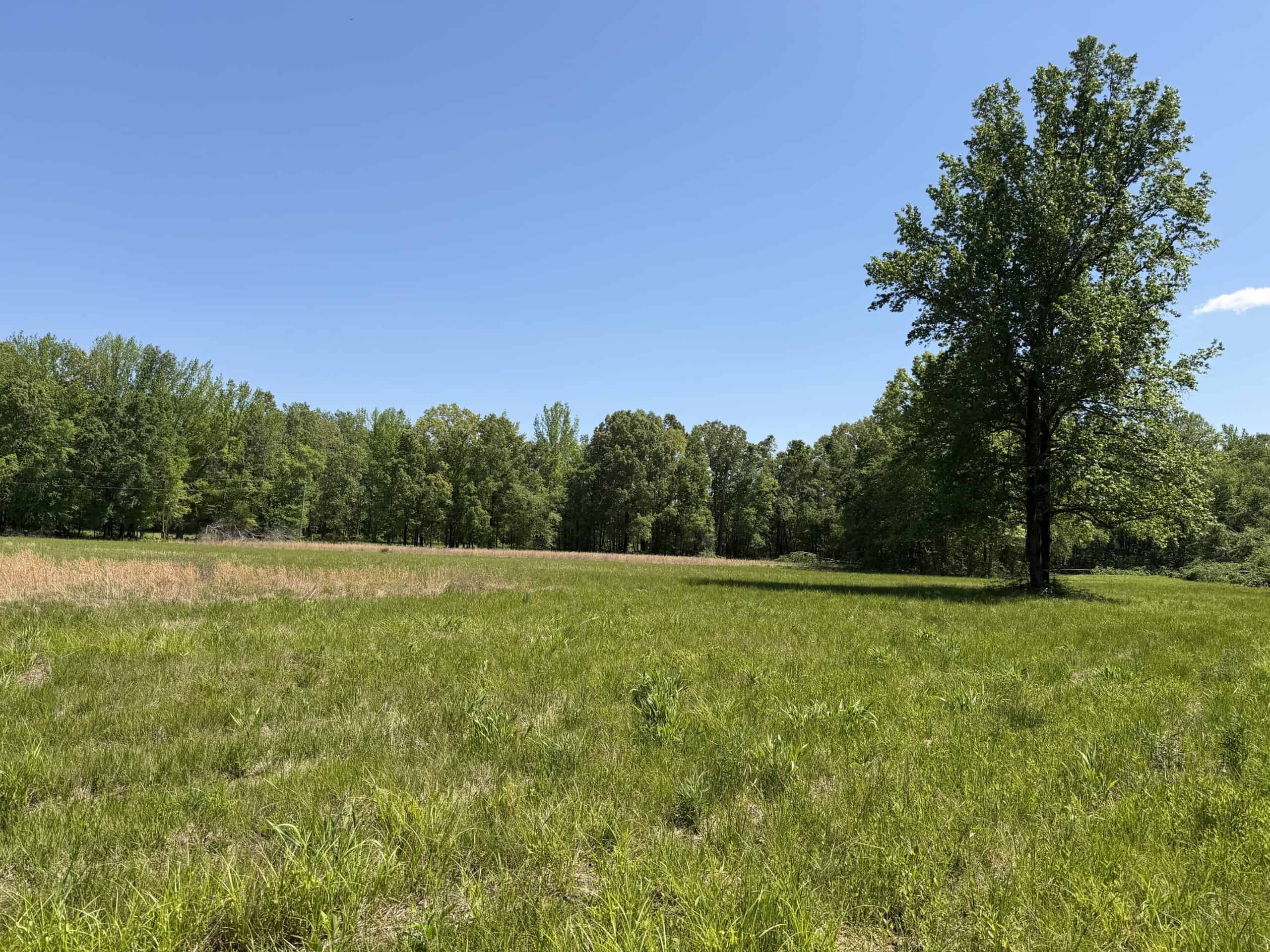 PRIVATE COUNTRY HOME FOR SALE IN TN 35 AC SHOP CREEK FIELDS