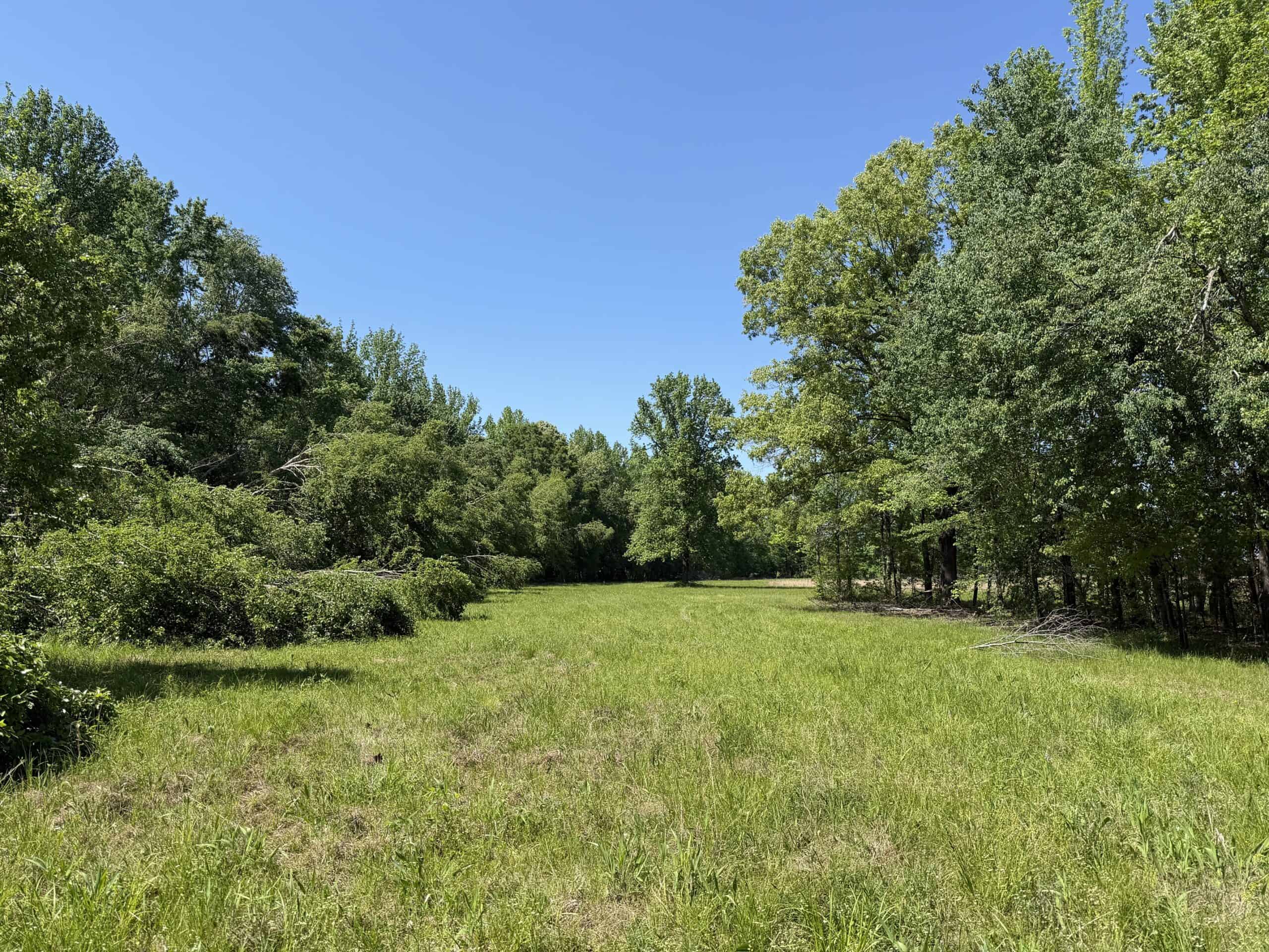 PRIVATE COUNTRY HOME FOR SALE IN TN 35 AC SHOP CREEK FIELDS