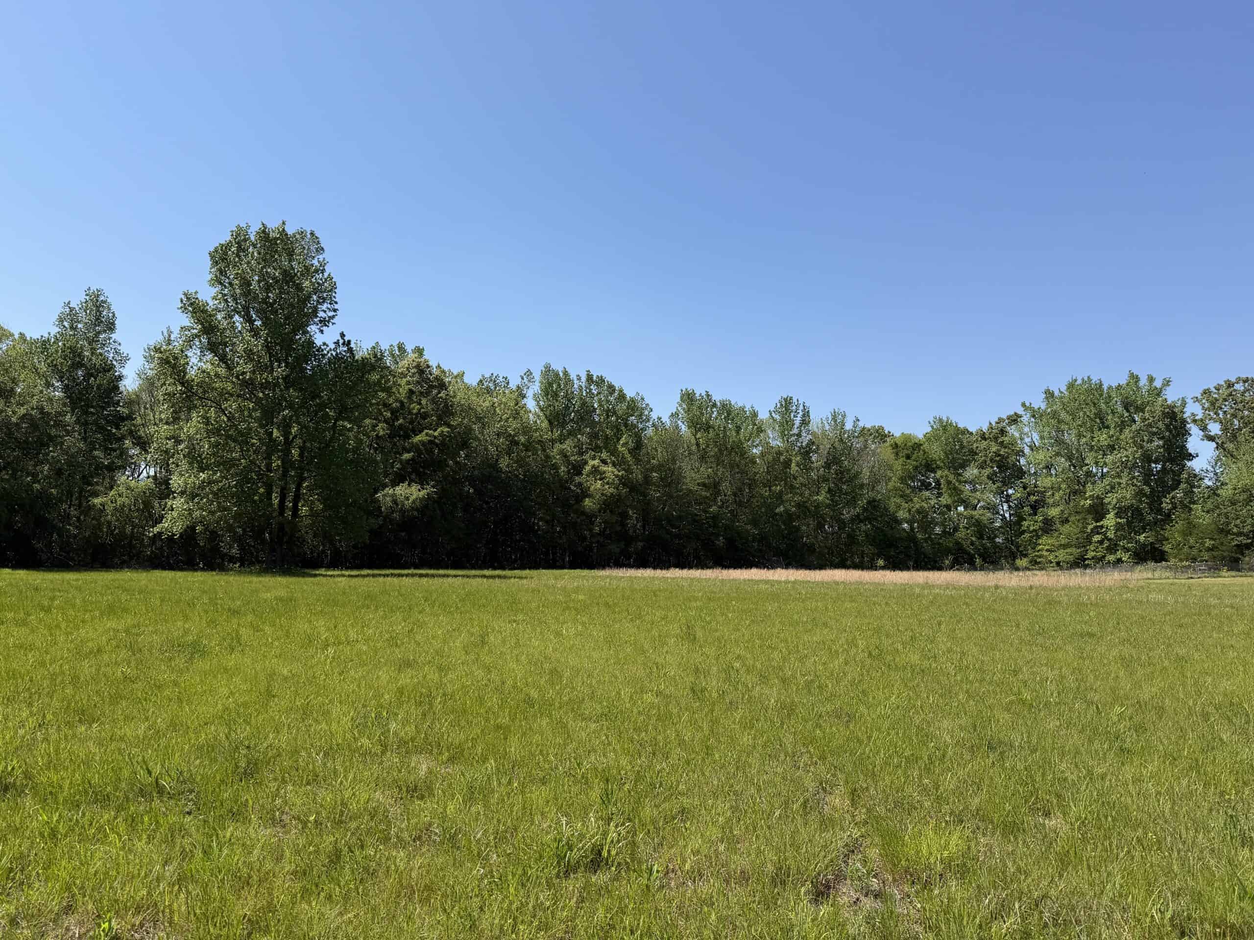PRIVATE COUNTRY HOME FOR SALE IN TN 35 AC SHOP CREEK FIELDS