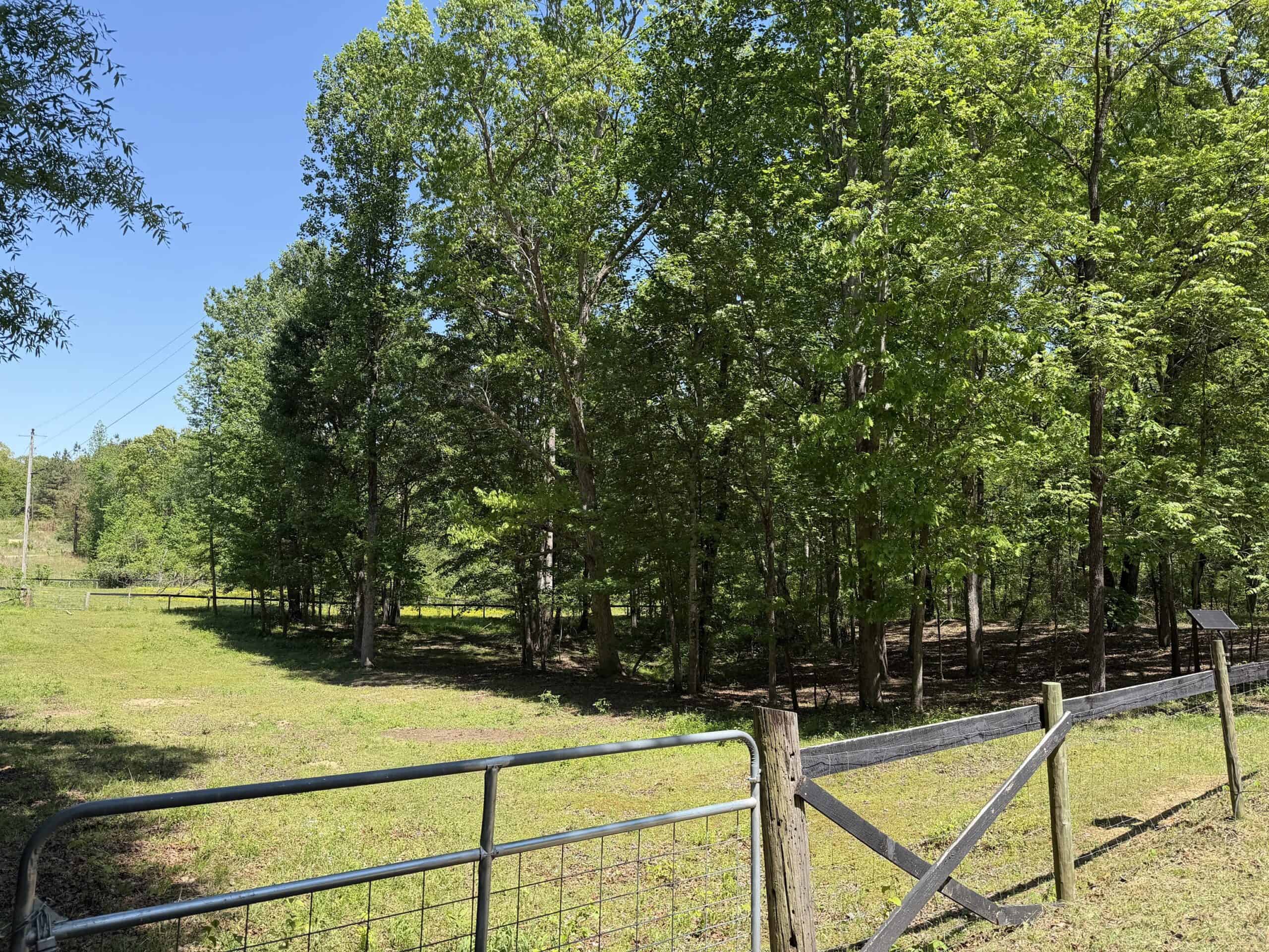 Hobby Farm for sale in TN, 44.81, Mostly Wooded, Creek, Fenced Pastures, Shop, Barn, and Great Deer & Turkey Hunting Land!