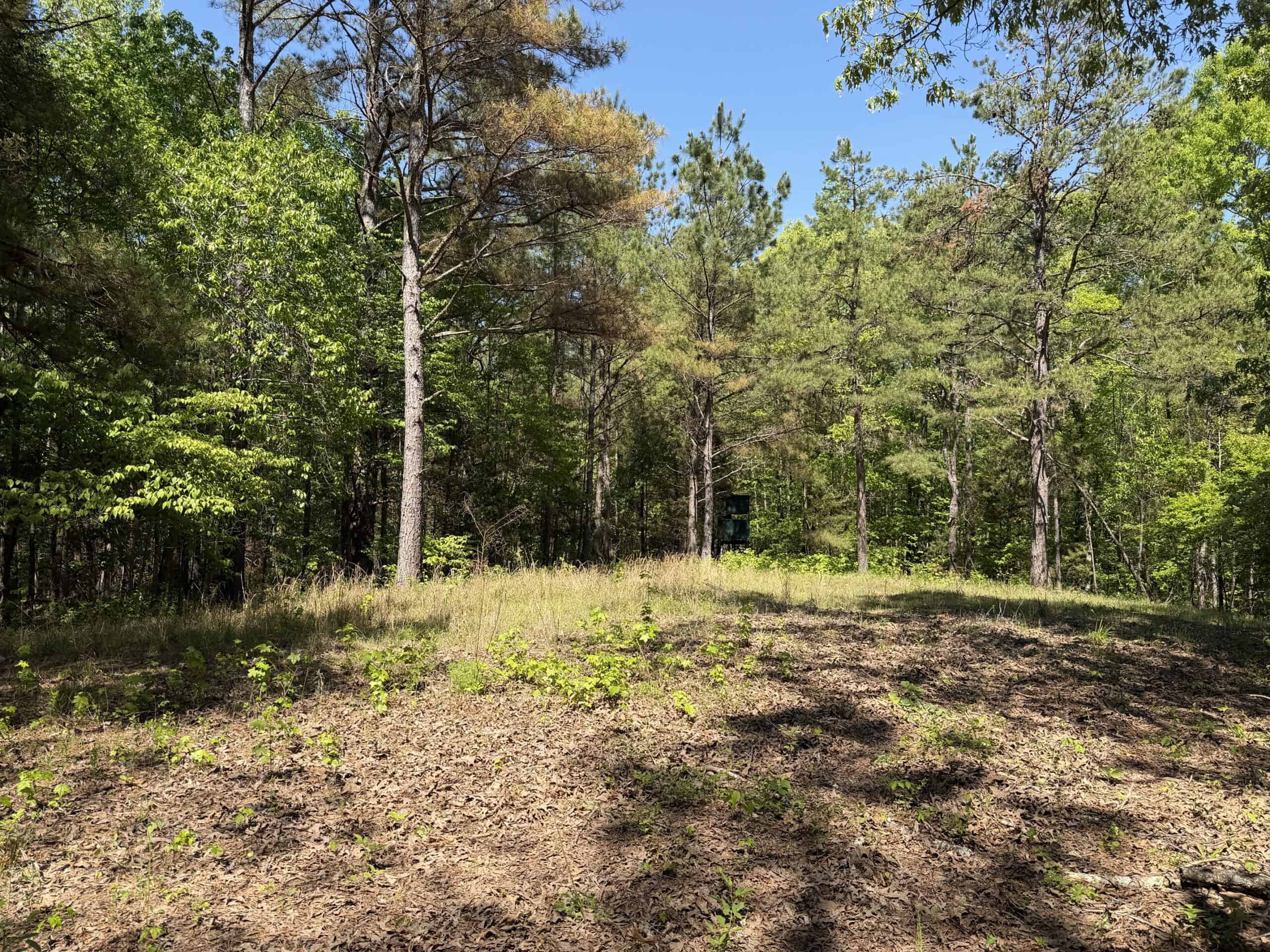 Hobby Farm for sale in TN, 44.81, Mostly Wooded, Creek, Fenced Pastures, Shop, Barn, and Great Deer & Turkey Hunting Land!