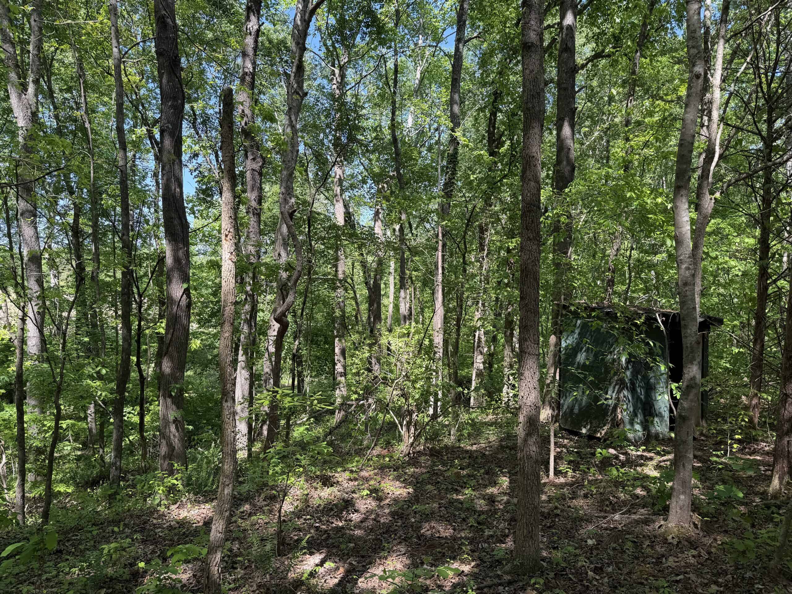 Hobby Farm for sale in TN, 44.81, Mostly Wooded, Creek, Fenced Pastures, Shop, Barn, and Great Deer & Turkey Hunting Land!