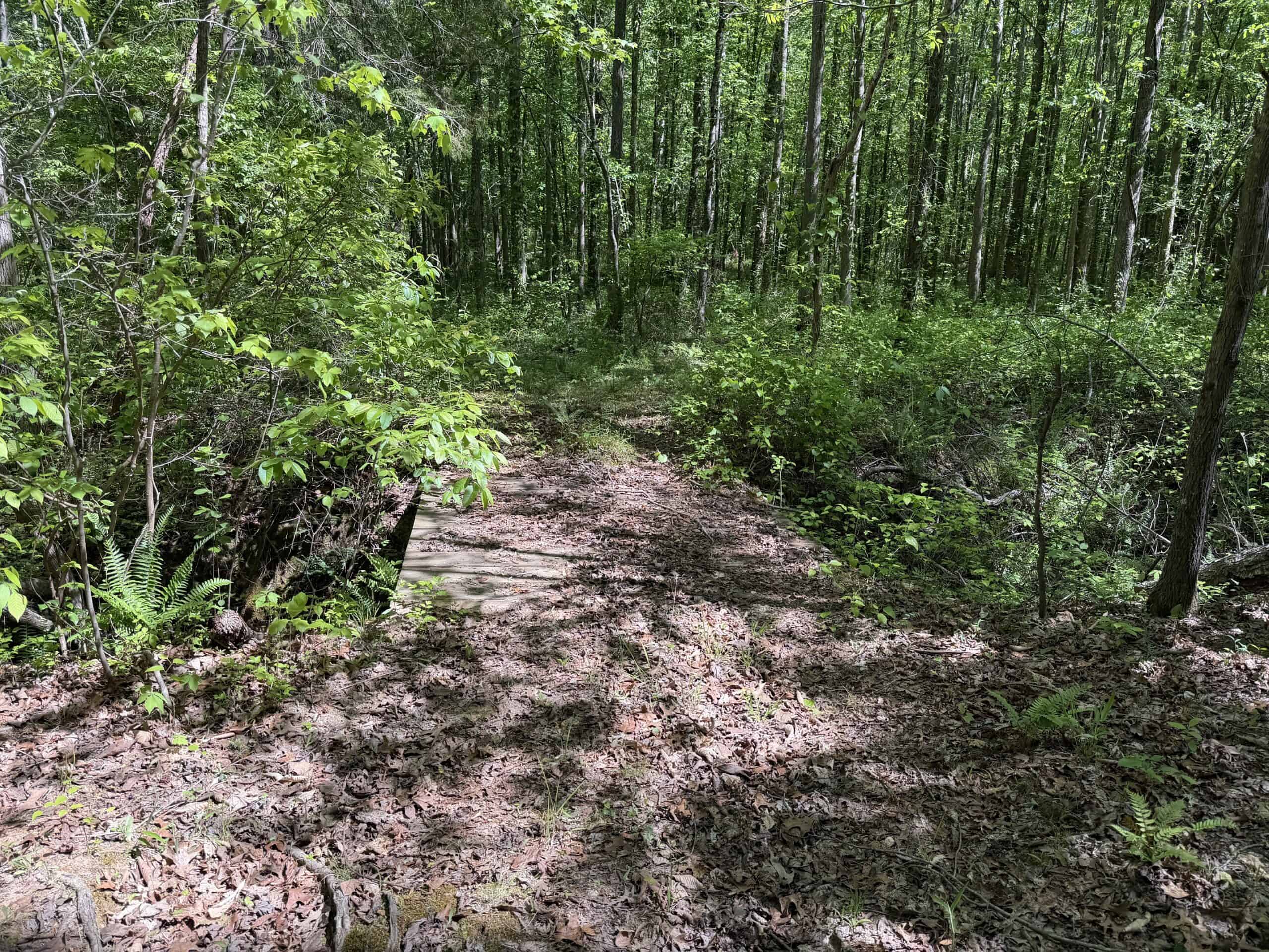 Hobby Farm for sale in TN, 44.81, Mostly Wooded, Creek, Fenced Pastures, Shop, Barn, and Great Deer & Turkey Hunting Land!