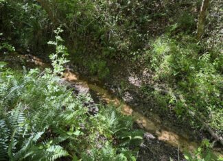 Hobby Farm for sale in TN, 44.81, Mostly Wooded, Creek, Fenced Pastures, Shop, Barn, and Great Deer & Turkey Hunting Land!