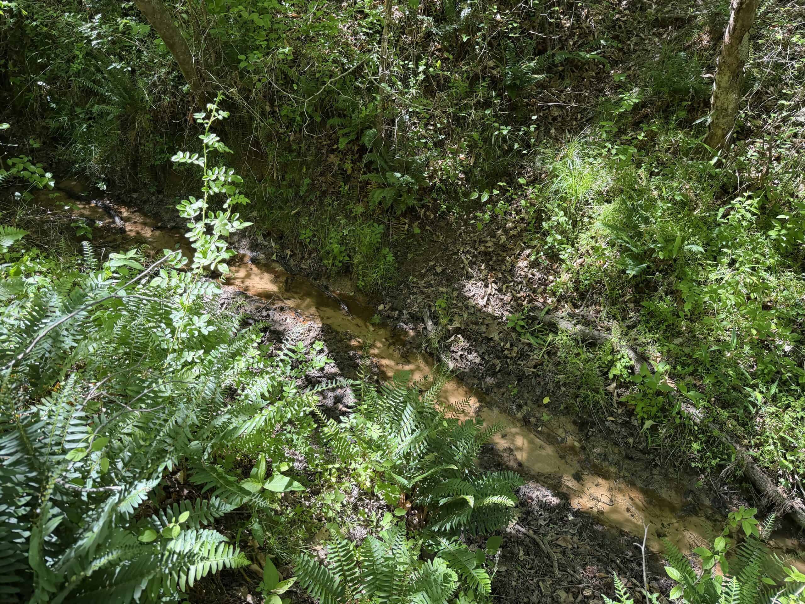 Hobby Farm for sale in TN, 44.81, Mostly Wooded, Creek, Fenced Pastures, Shop, Barn, and Great Deer & Turkey Hunting Land!