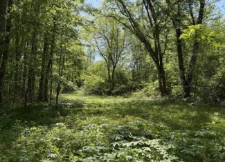 Hobby Farm for sale in TN, 44.81, Mostly Wooded, Creek, Fenced Pastures, Shop, Barn, and Great Deer & Turkey Hunting Land!