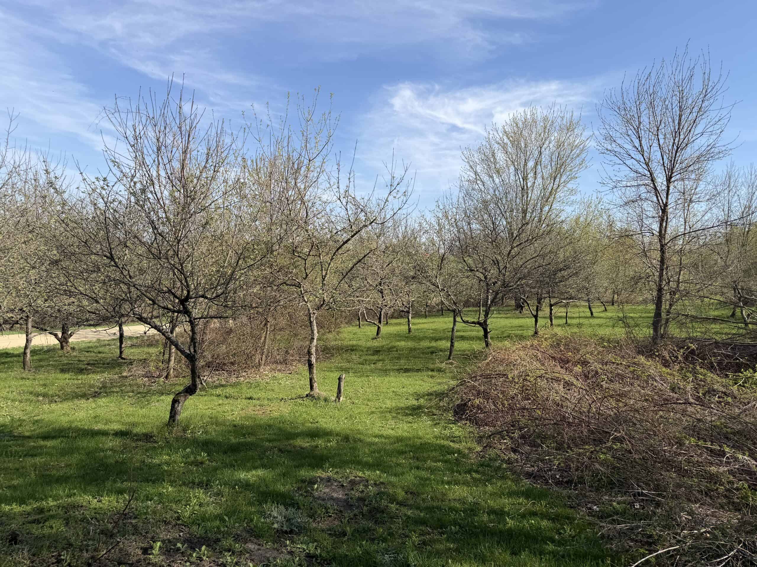 Log Cabin in SW Wisconsin Driftless Region on 10 Acres