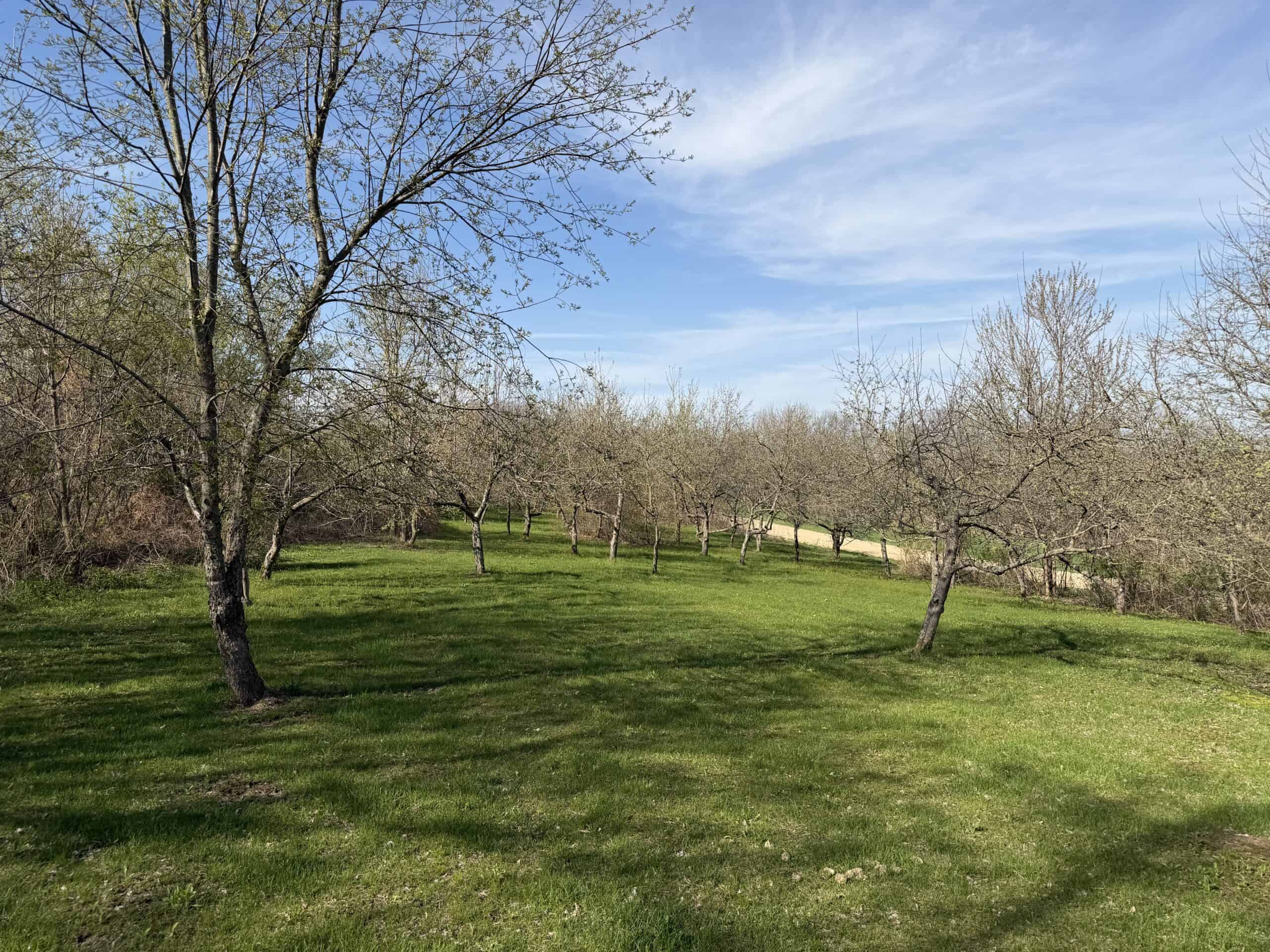 Log Cabin in SW Wisconsin Driftless Region on 10 Acres