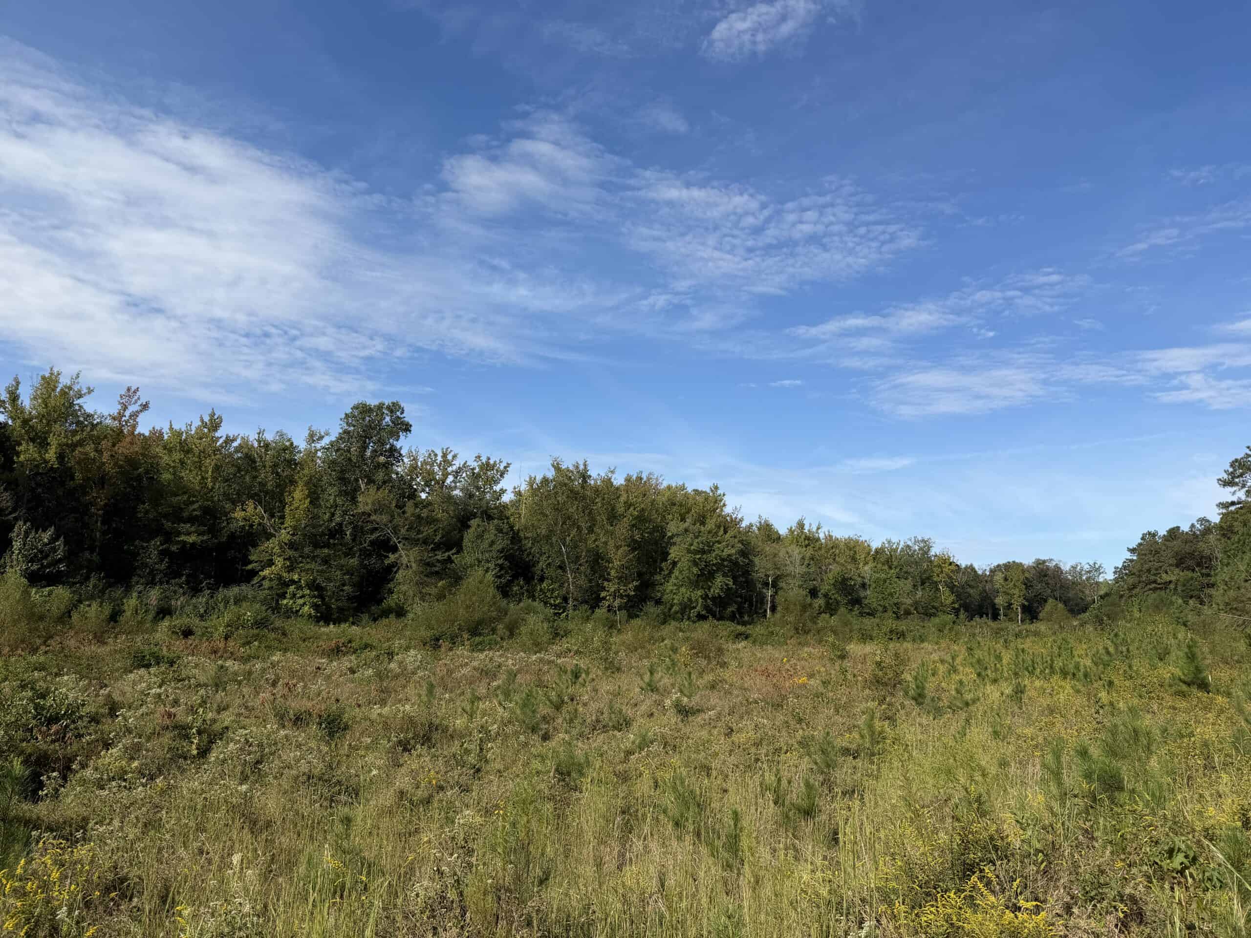 COUNTRY ESTATE FOR SALE IN TN, 61.5 AC, DEER & TURKEY HUNTING, CREEK, FIELDS, BARN