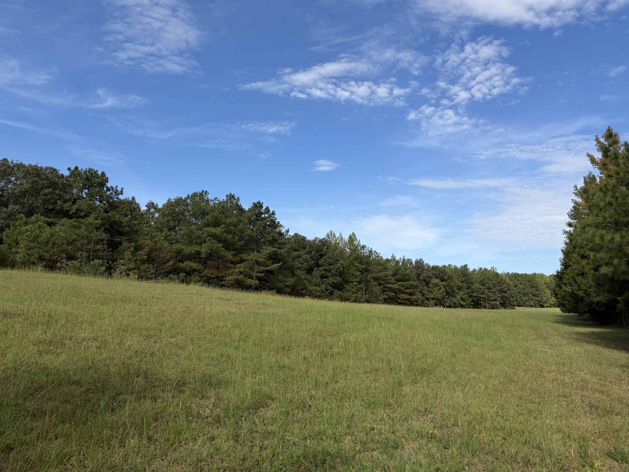 COUNTRY ESTATE FOR SALE IN TN, 61.5 AC, DEER & TURKEY HUNTING, CREEK, FIELDS, BARN