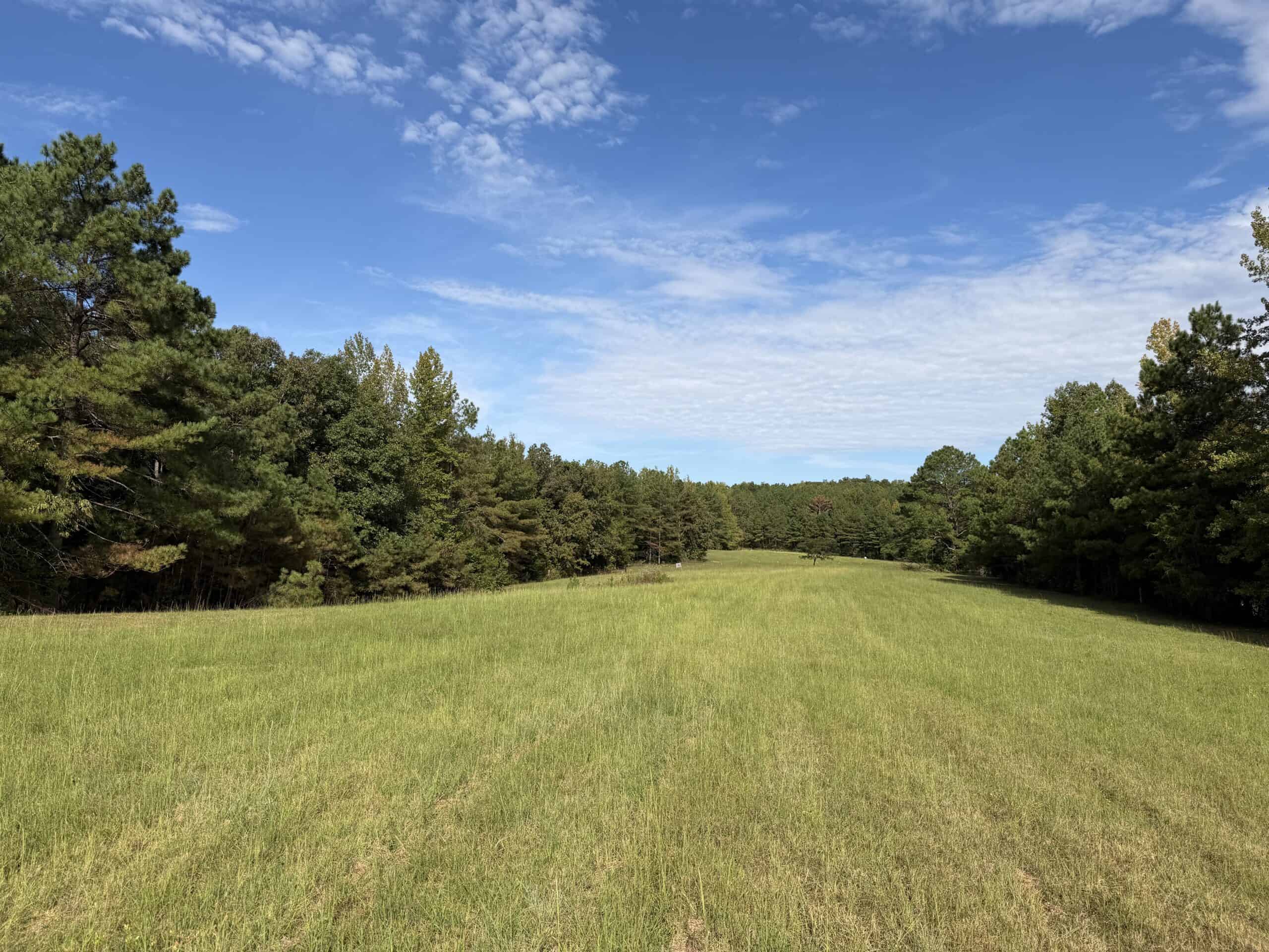 COUNTRY ESTATE FOR SALE IN TN, 61.5 AC, DEER & TURKEY HUNTING, CREEK, FIELDS, BARN