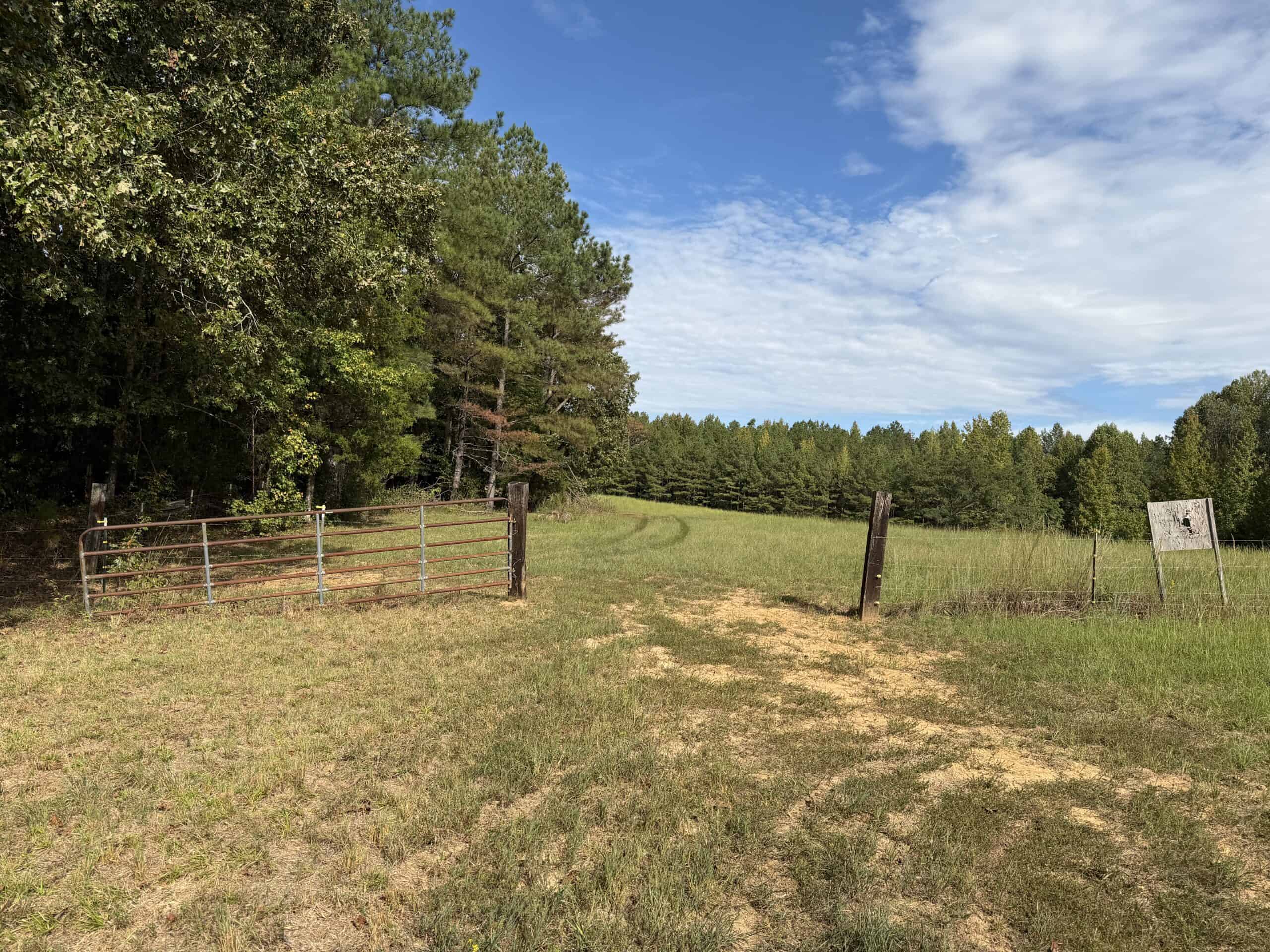 COUNTRY ESTATE FOR SALE IN TN, 61.5 AC, DEER & TURKEY HUNTING, CREEK, FIELDS, BARN