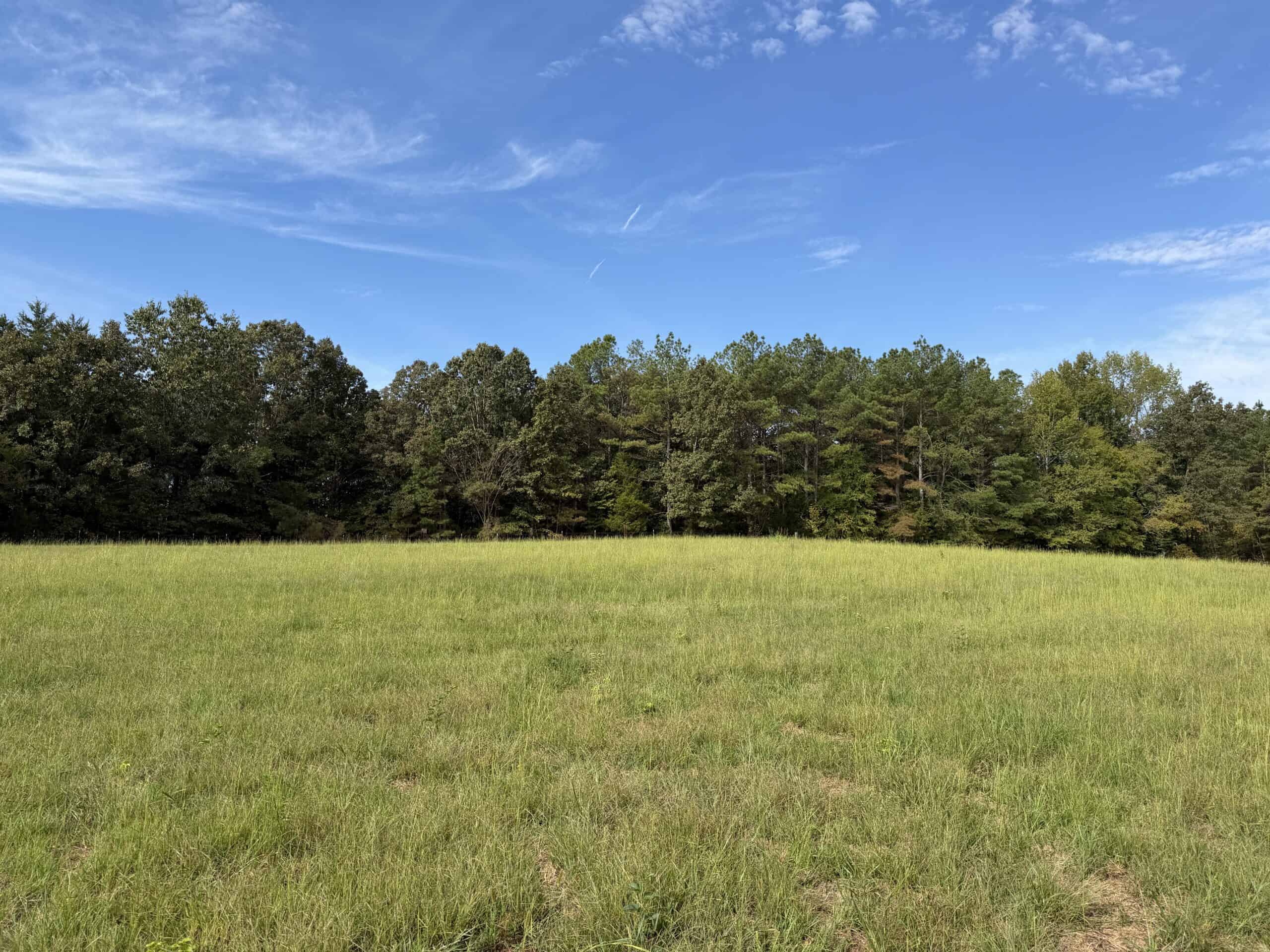 COUNTRY ESTATE FOR SALE IN TN, 61.5 AC, DEER & TURKEY HUNTING, CREEK, FIELDS, BARN