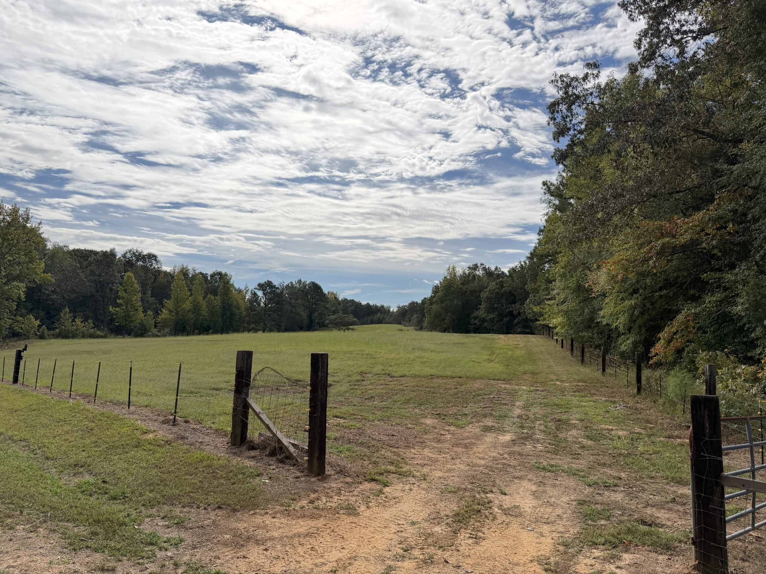 COUNTRY ESTATE FOR SALE IN TN, 61.5 AC, DEER & TURKEY HUNTING, CREEK, FIELDS, BARN