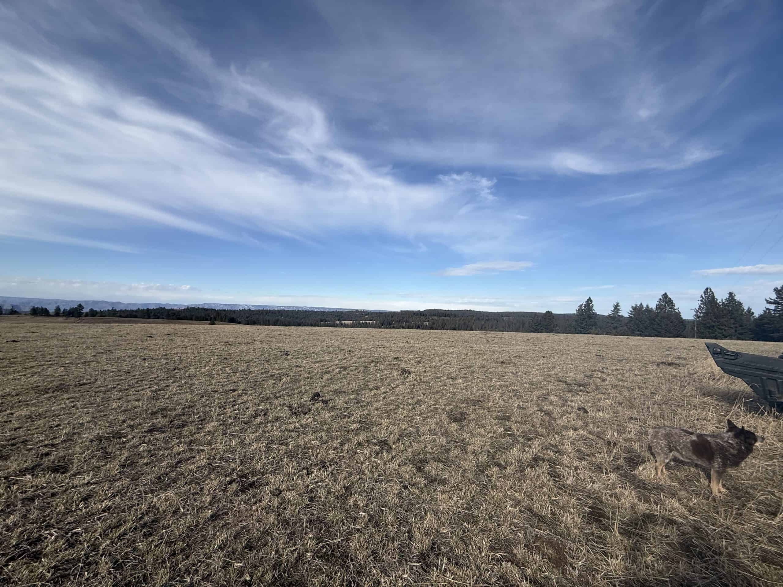 Land for Sale in Idaho County, ID at Hatke Place Ranch