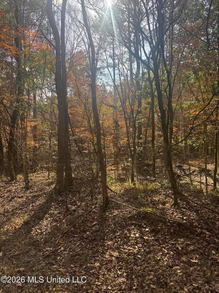 South Mississippi Hunting Land for Sale in Walthall County