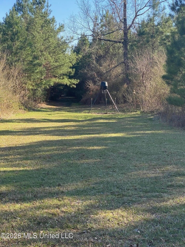 Hunting and Recreational Land for Sale in Amite County, Miss