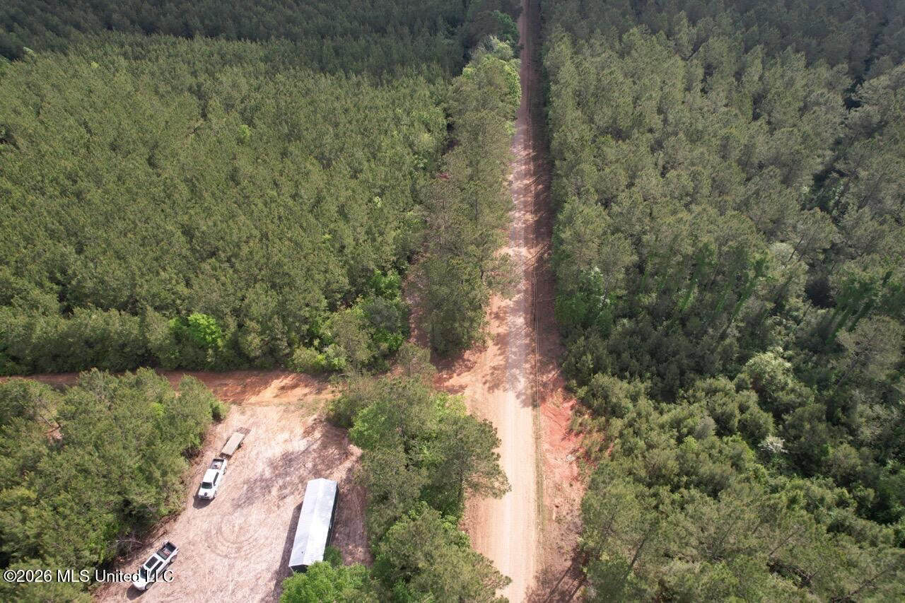 46 Acres in St. Helena Parish, LA Hunting Property for Sale