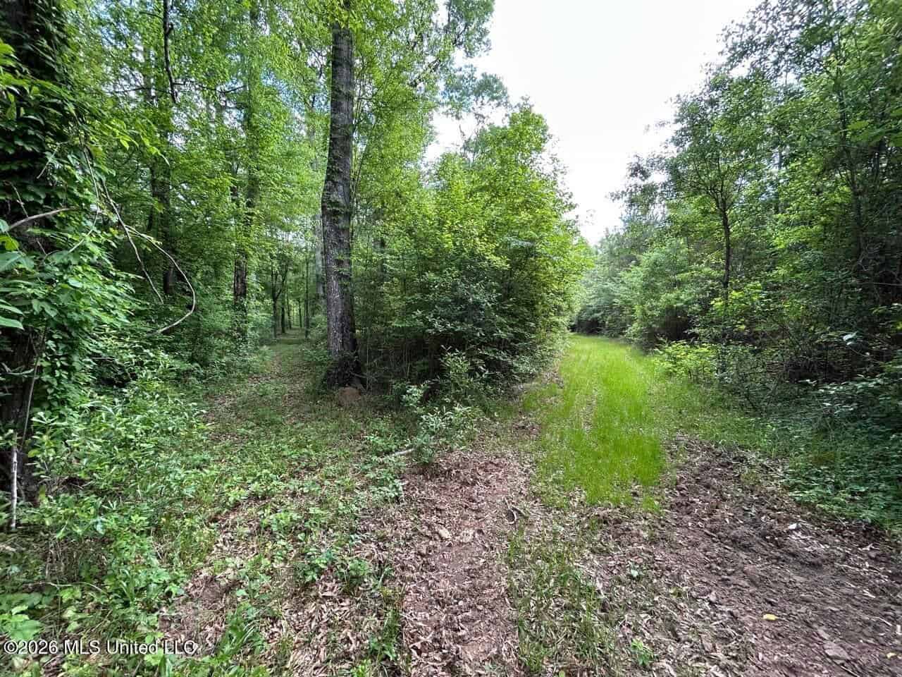 47 Acres in St. Helena Parish, LA with Black Creek
