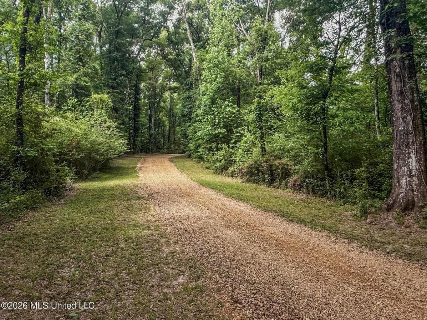 23 Acres of Riverfront Property with Sand Bar and Cabins