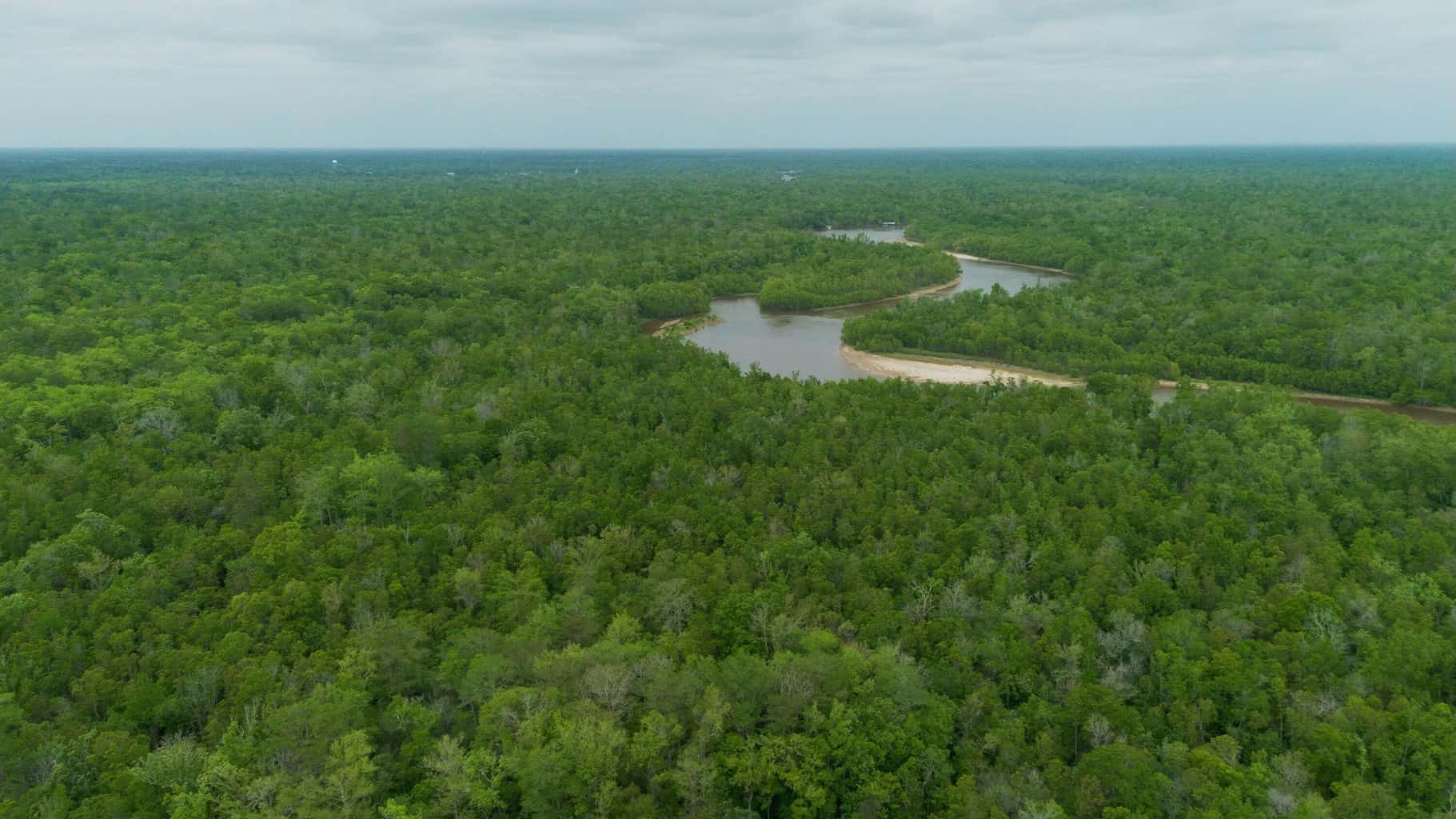 385 Acres Pearl River Frontage Louisiana
