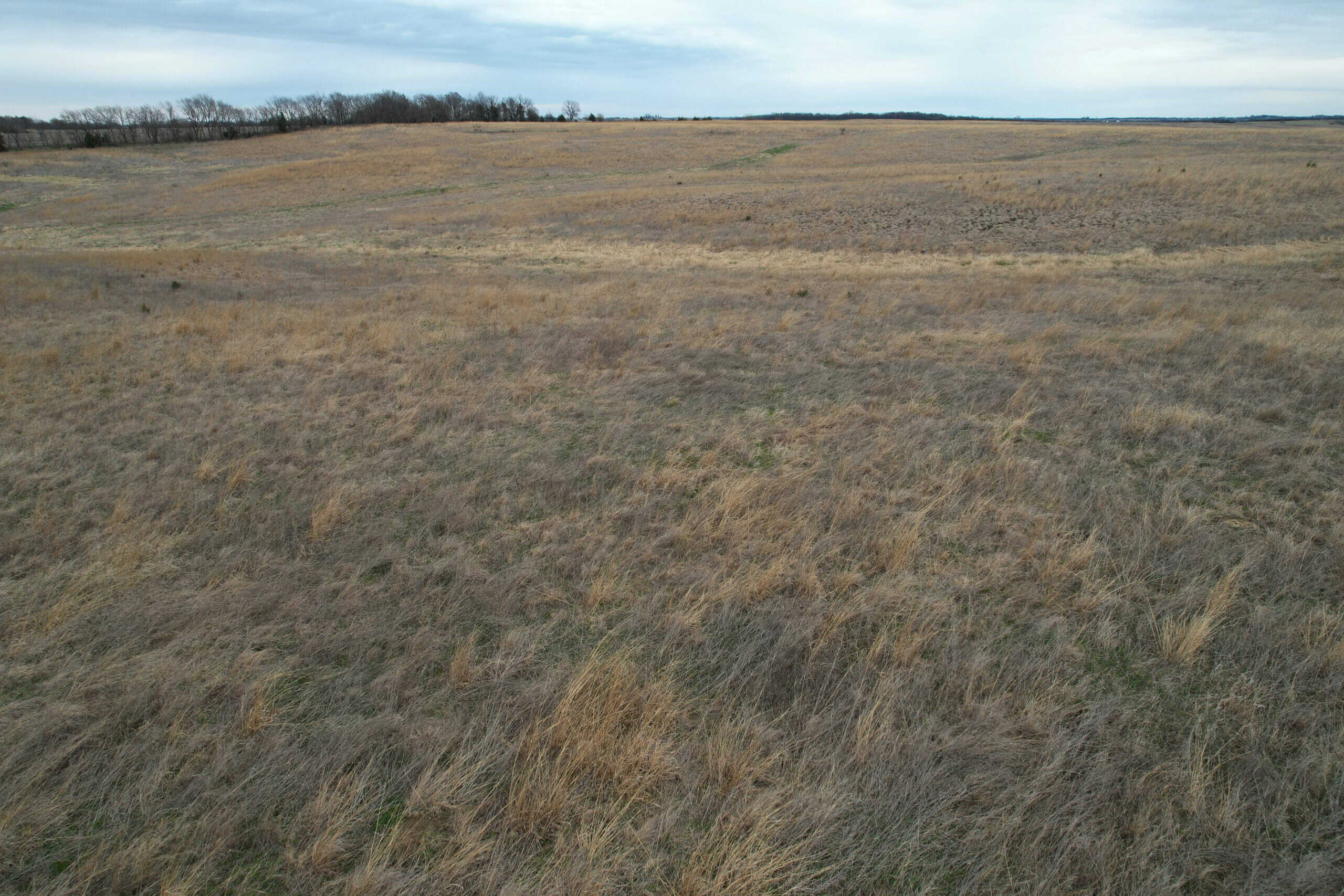 Southwest Iowa Income Producing Combination Farm