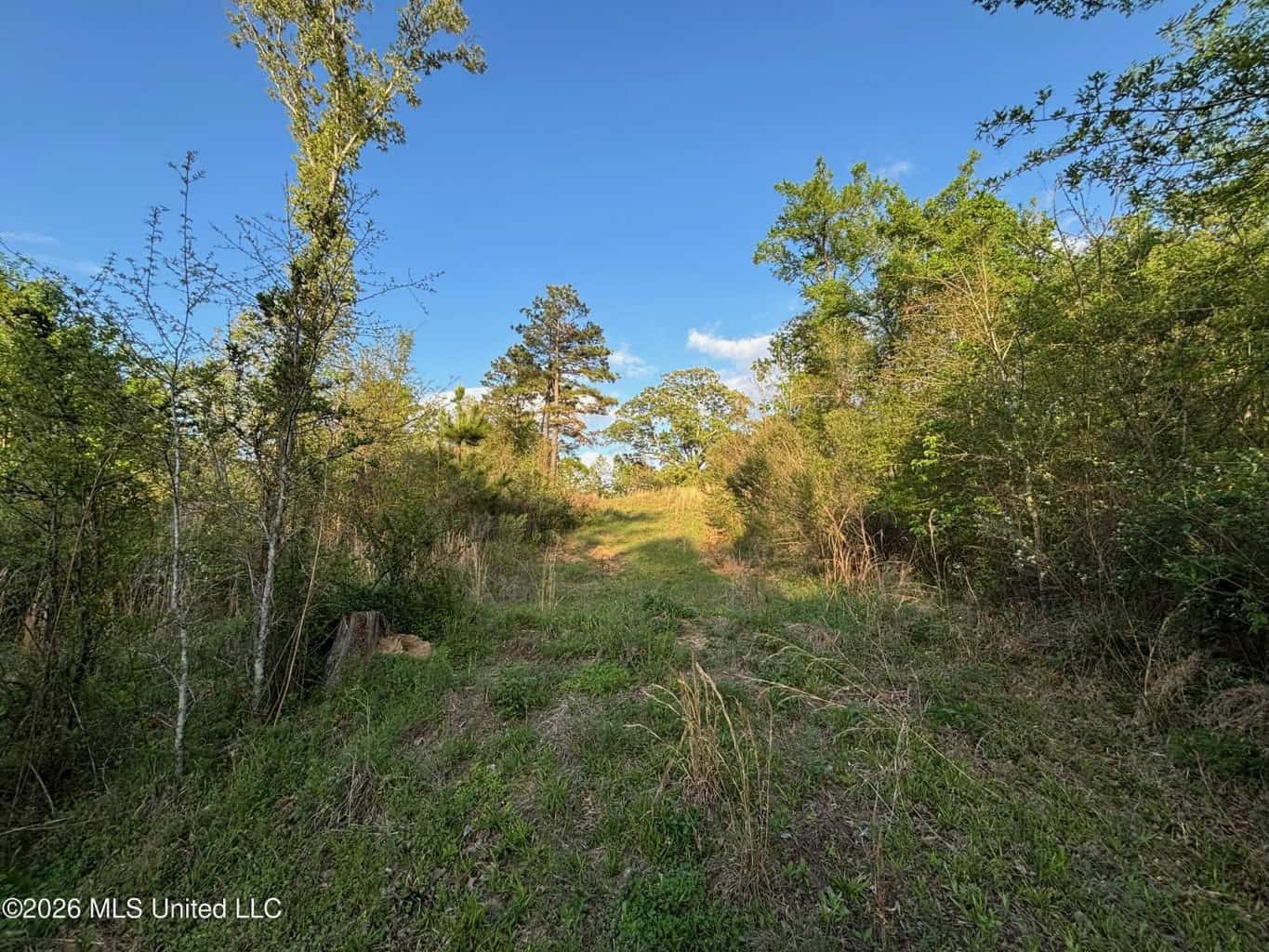 77 Acres in Edwards, MS Hinds County Big Black River Region