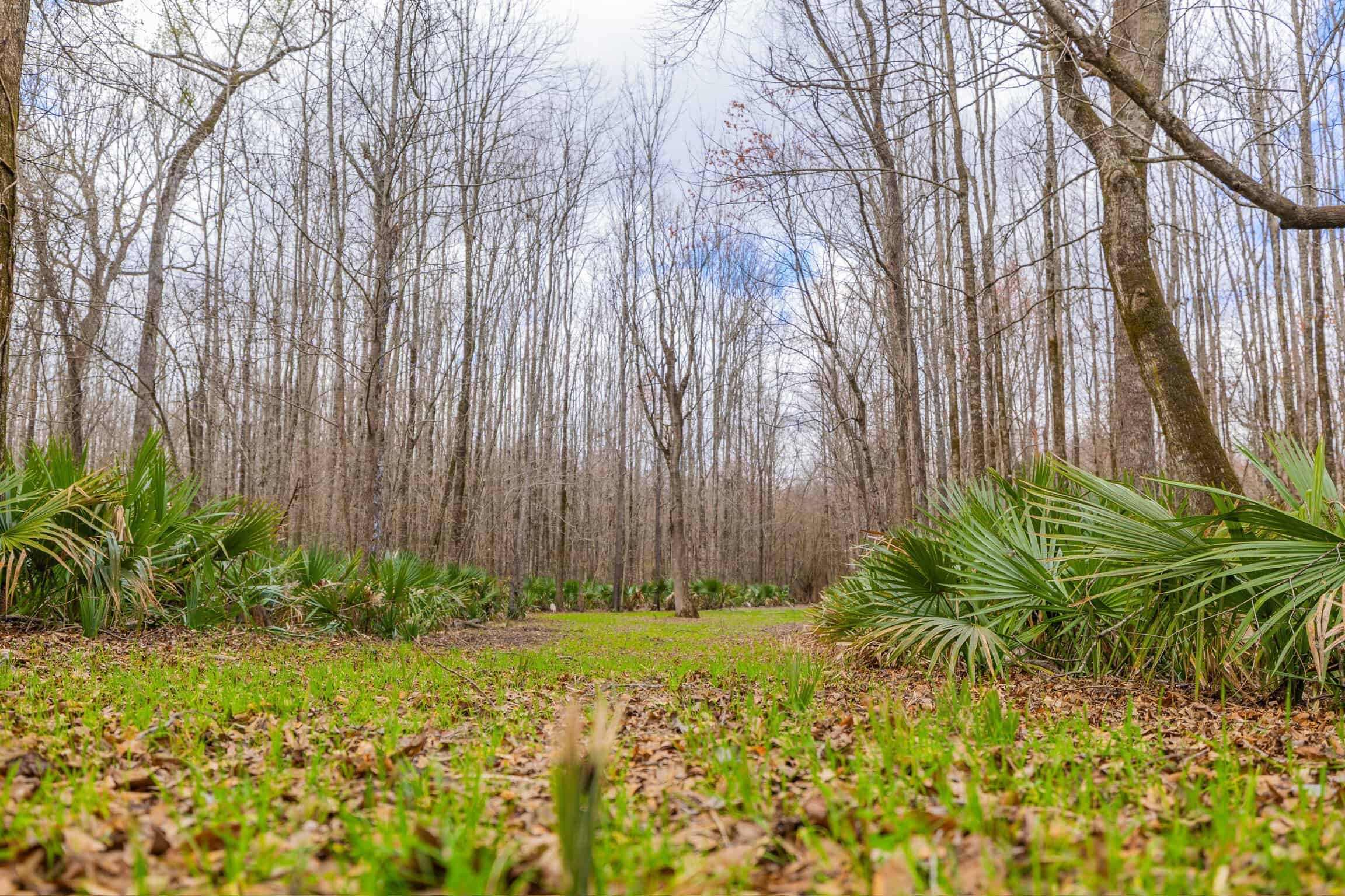 525+/- Acre Hunting Lodge for Sale in Sportsmans Paradise