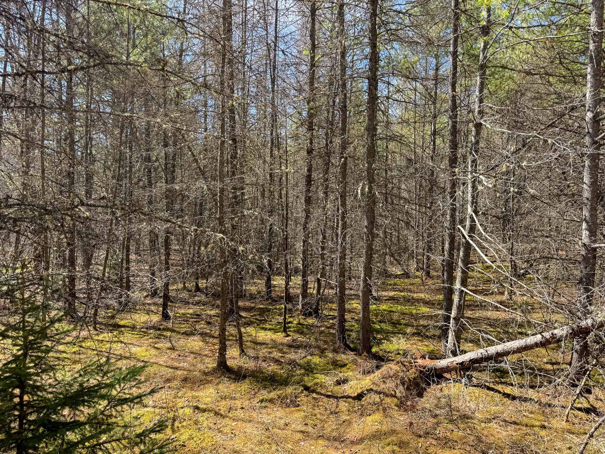 Riverfront Property with 16 Acres – Medway, Maine