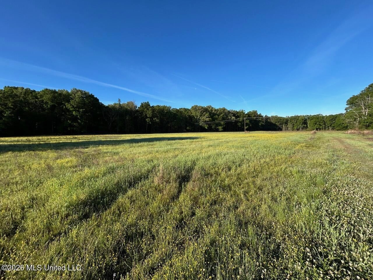 266± Acres Hinds/Copiah Line with Creek and Income