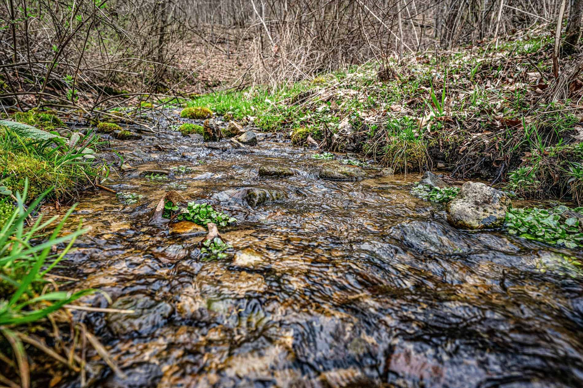 SW Wisconsin Country Home, 30.53 Wooded Acres (Driftless Region)