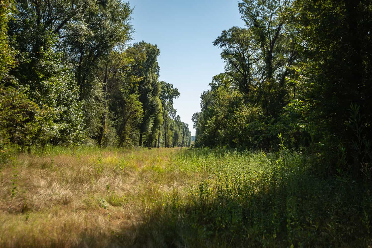 863-Acre Hunting Ranch on the Sabine River near Big Sandy TX