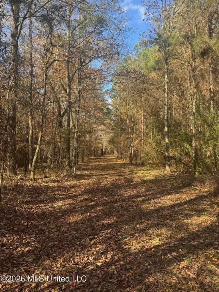 South Mississippi Hunting Land for Sale in Walthall County