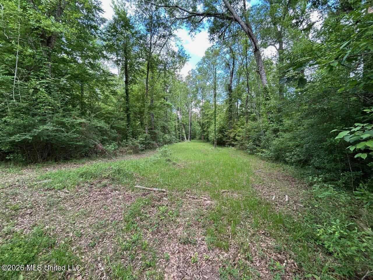 47 Acres in St. Helena Parish, LA with Black Creek