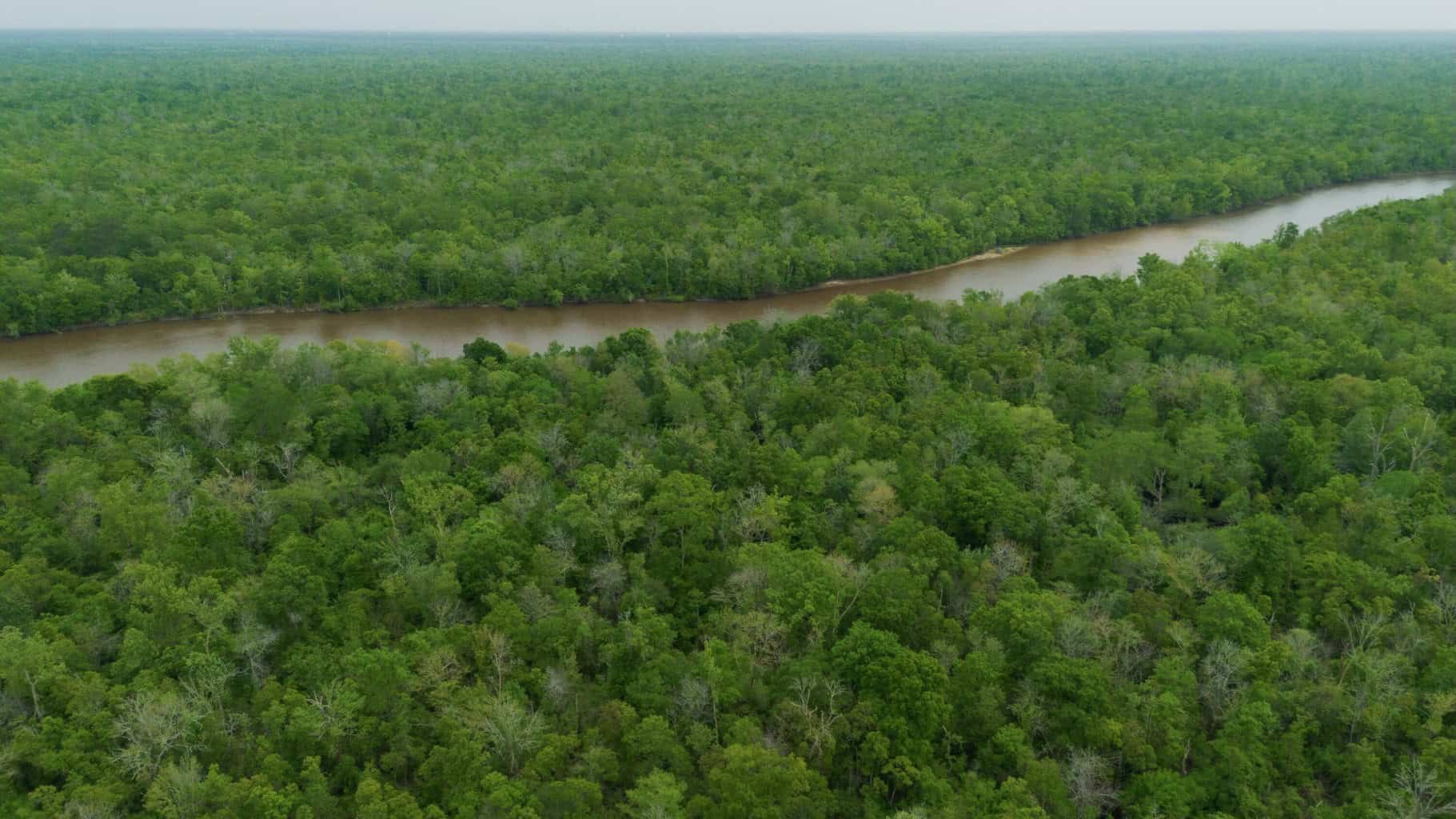 385 Acres Pearl River Frontage Louisiana