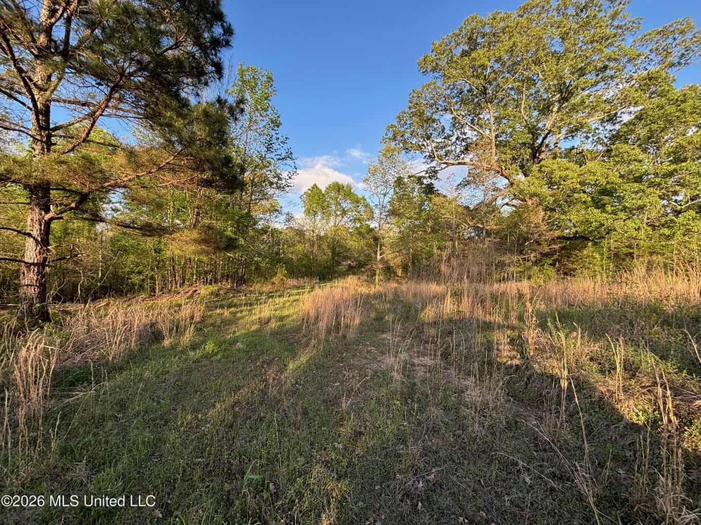 77 Acres in Edwards, MS Hinds County Big Black River Region