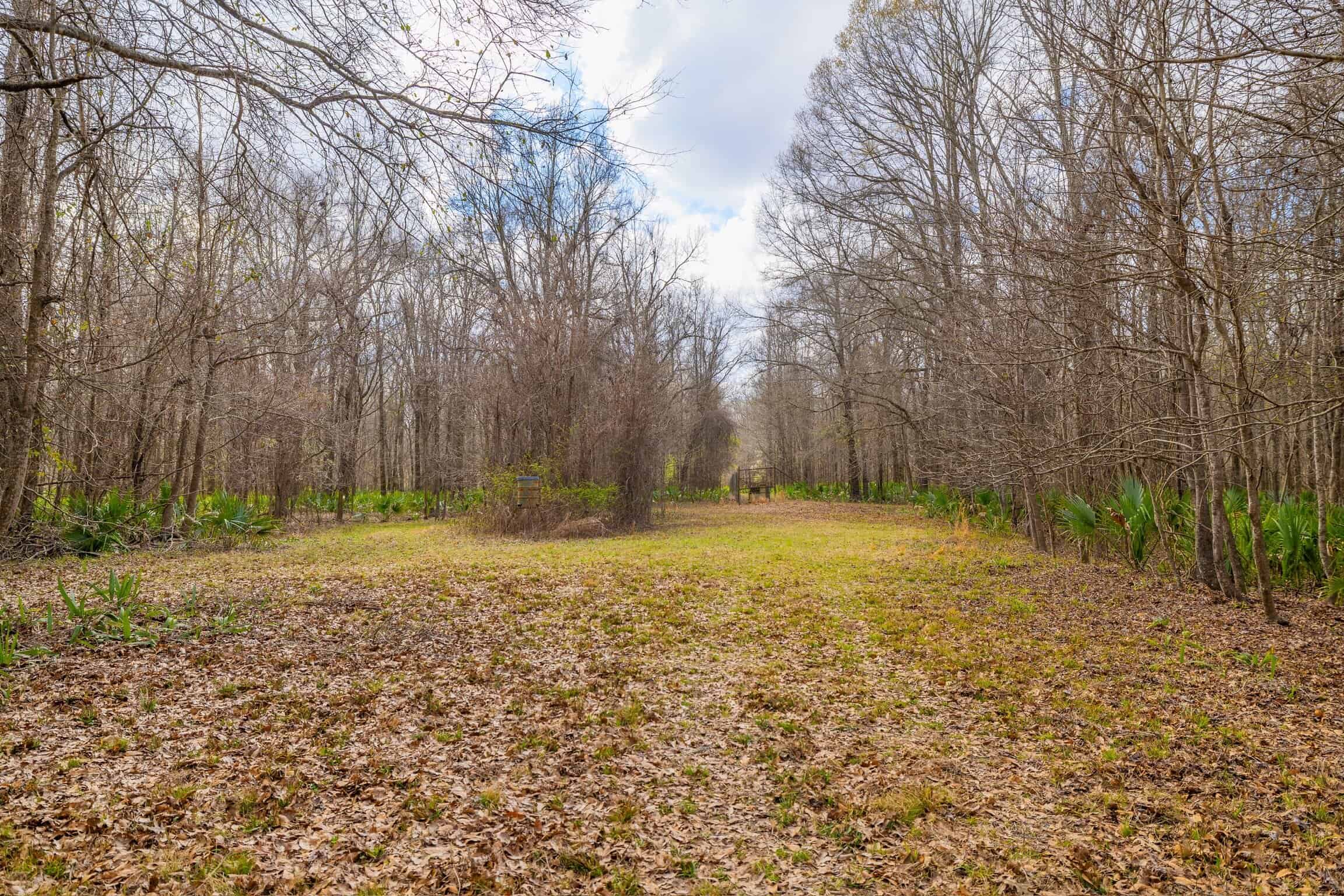 525+/- Acre Hunting Lodge for Sale in Sportsmans Paradise