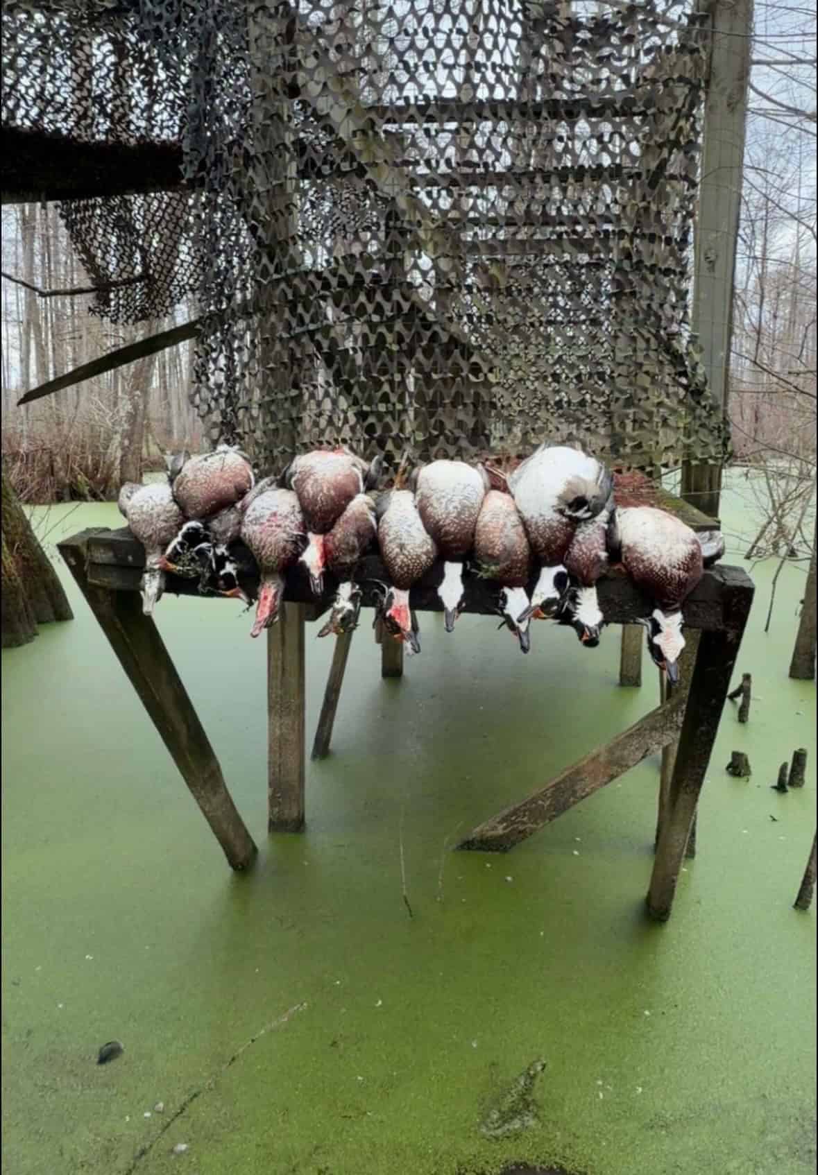 Tensas Parish Duck and Deer Hunting Property