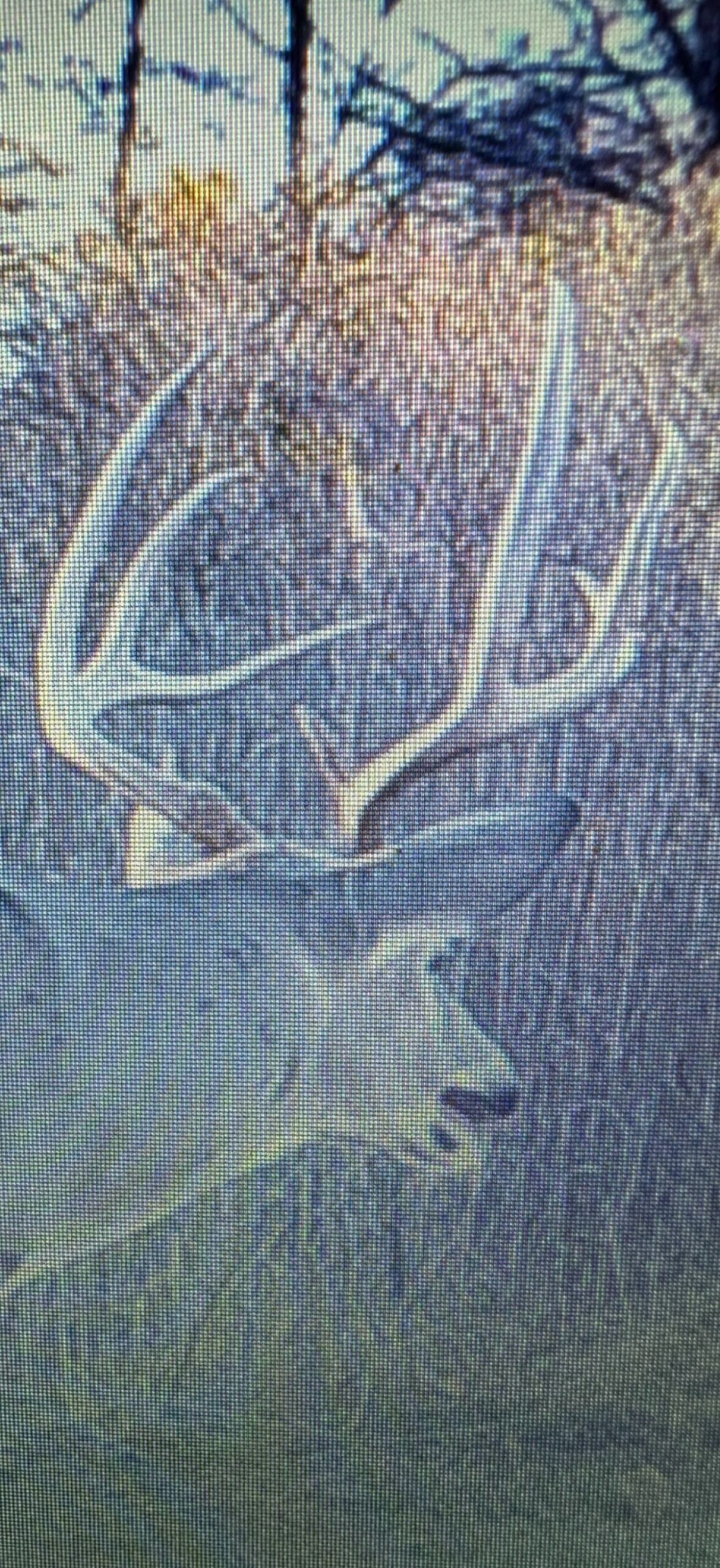 330+/- Acre Deer and Duck Hunting Property with a Camp