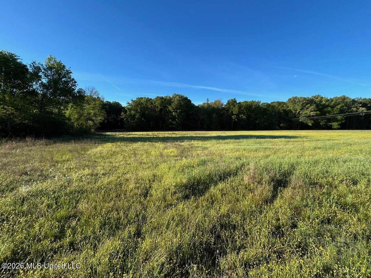 266± Acres Hinds/Copiah Line with Creek and Income